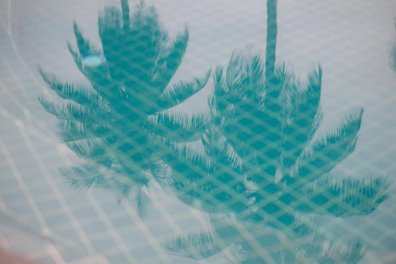 COCO Canopy Boutique Resort