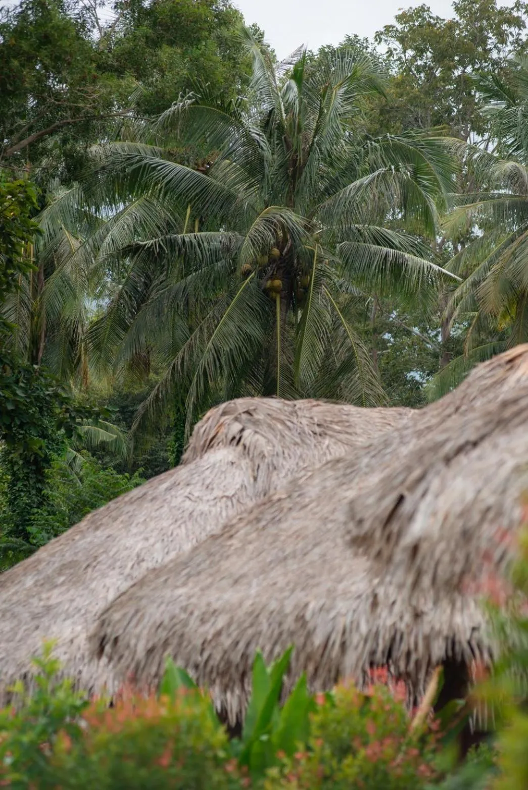 COCO Canopy Boutique Resort