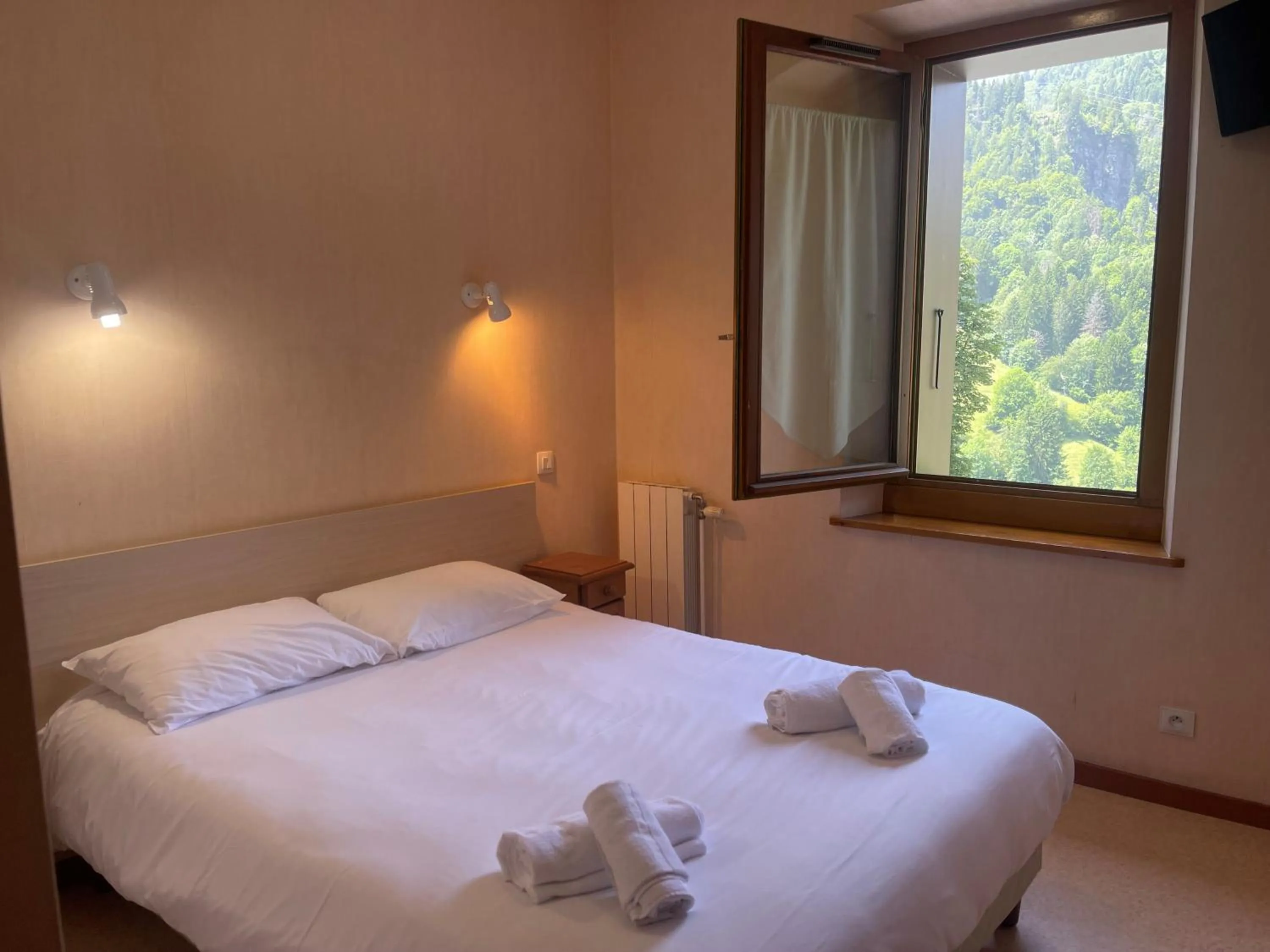 Bed in Hôtel Le MontBlanc