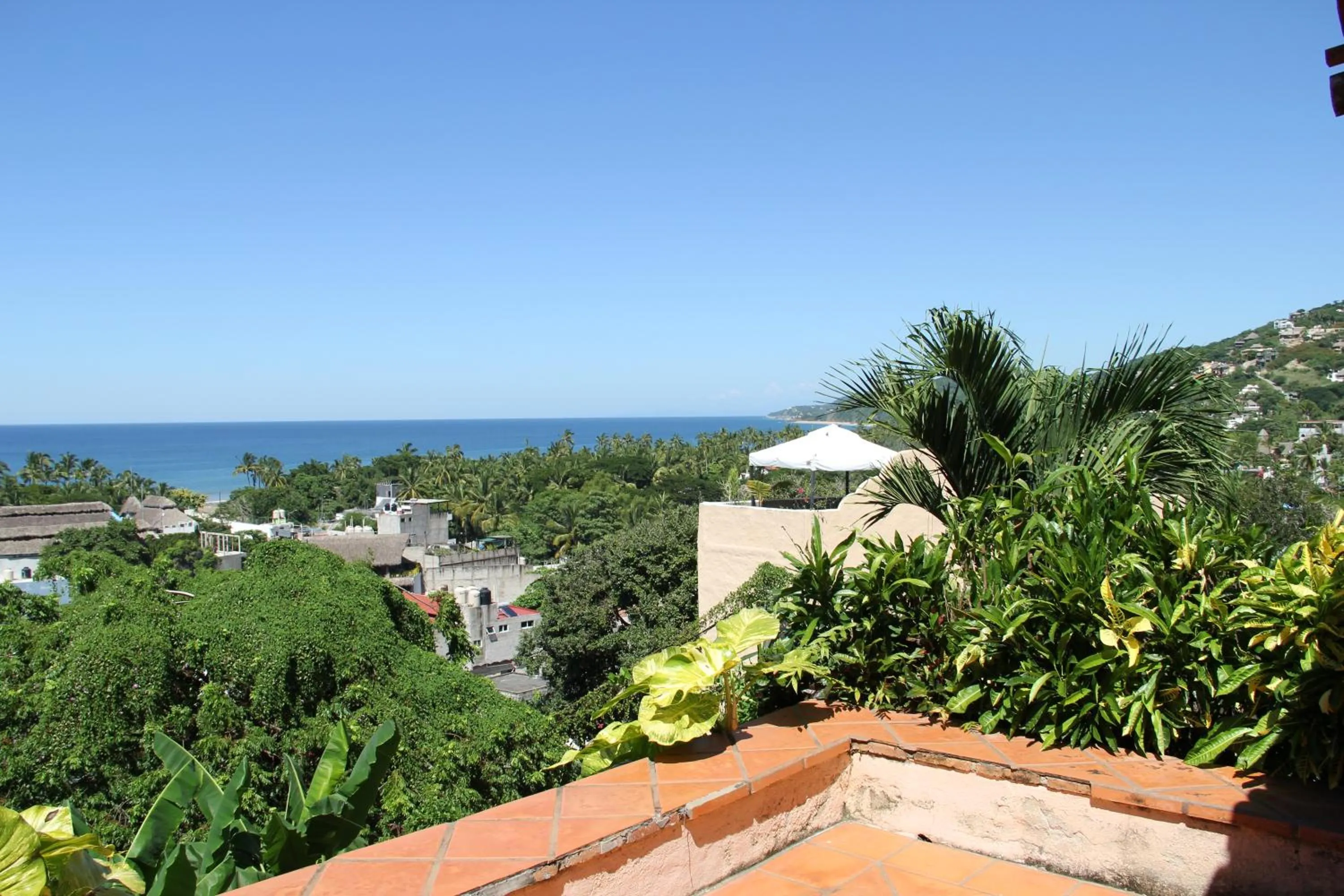 Natural landscape in Villas Vista Suites Sayulita