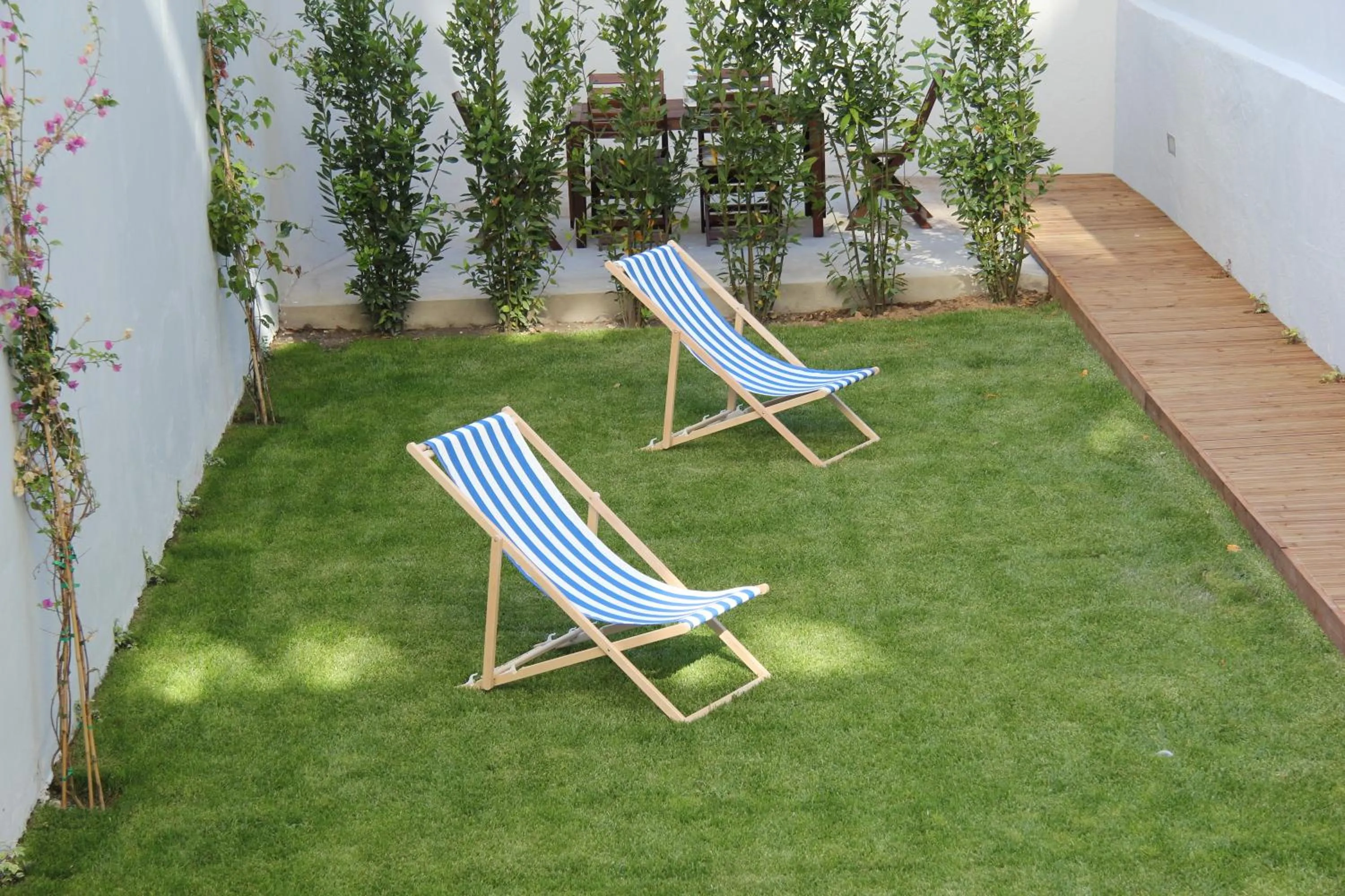 Garden in Decanting Porto House