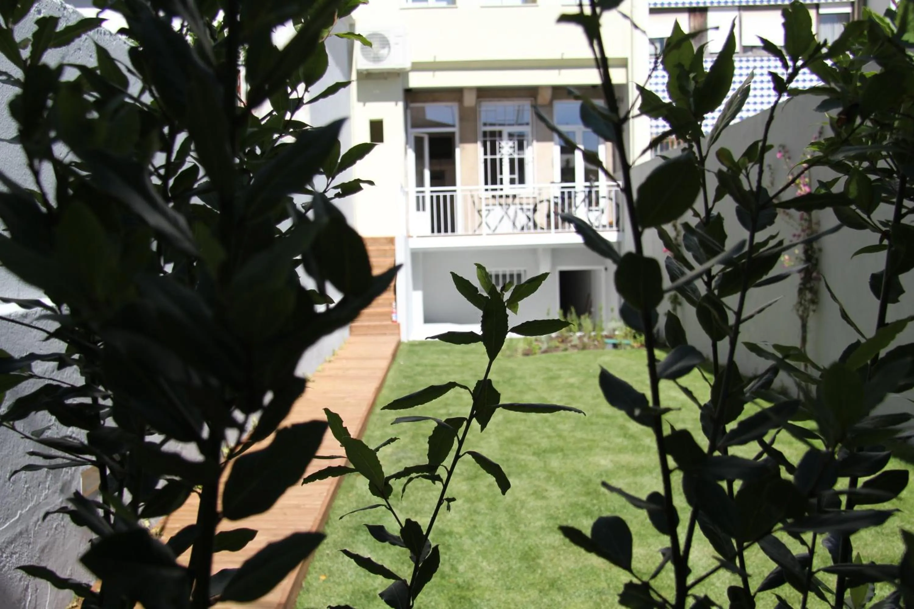 Garden in Decanting Porto House
