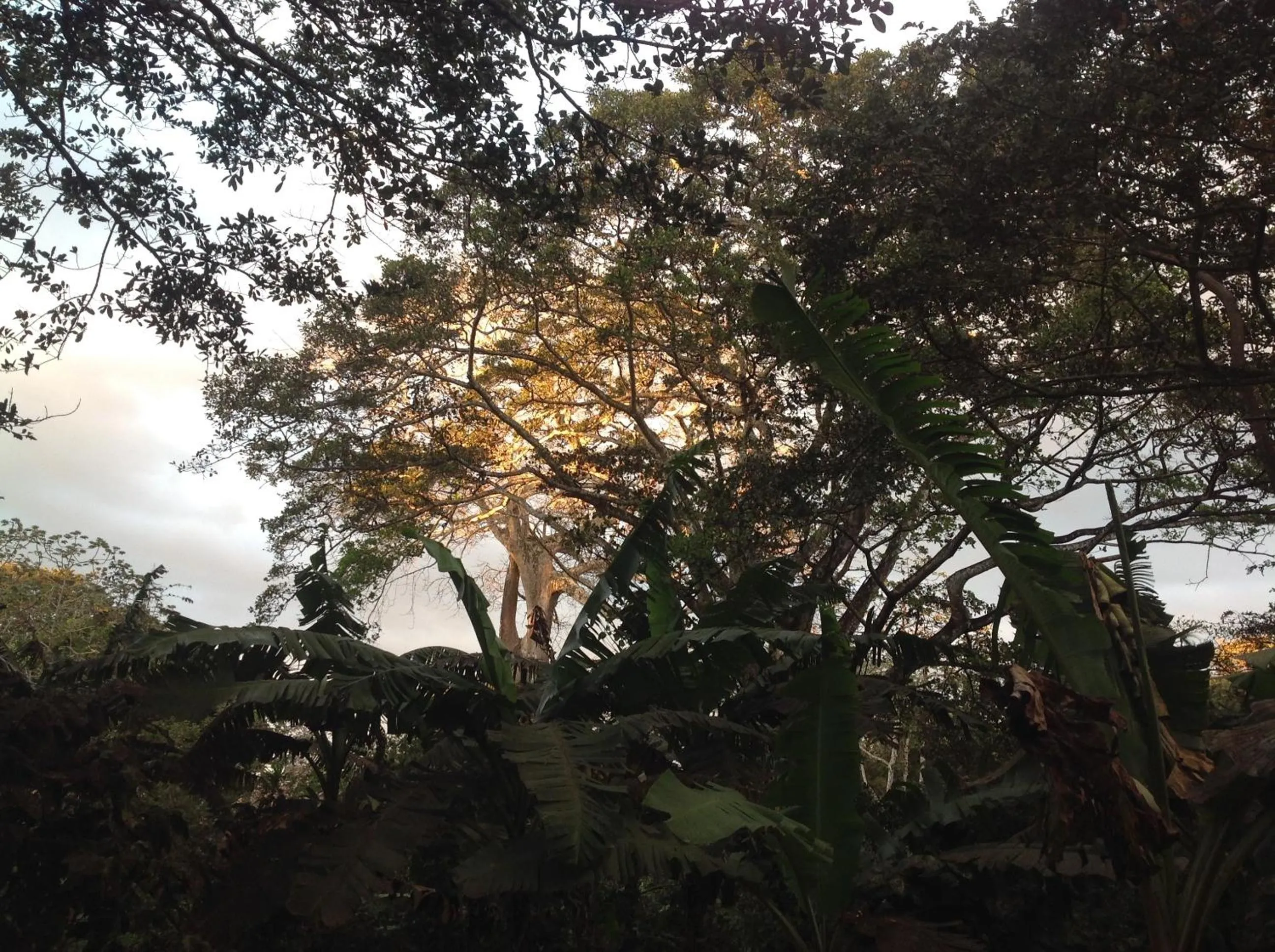 Natural landscape in Mombacho Lodge