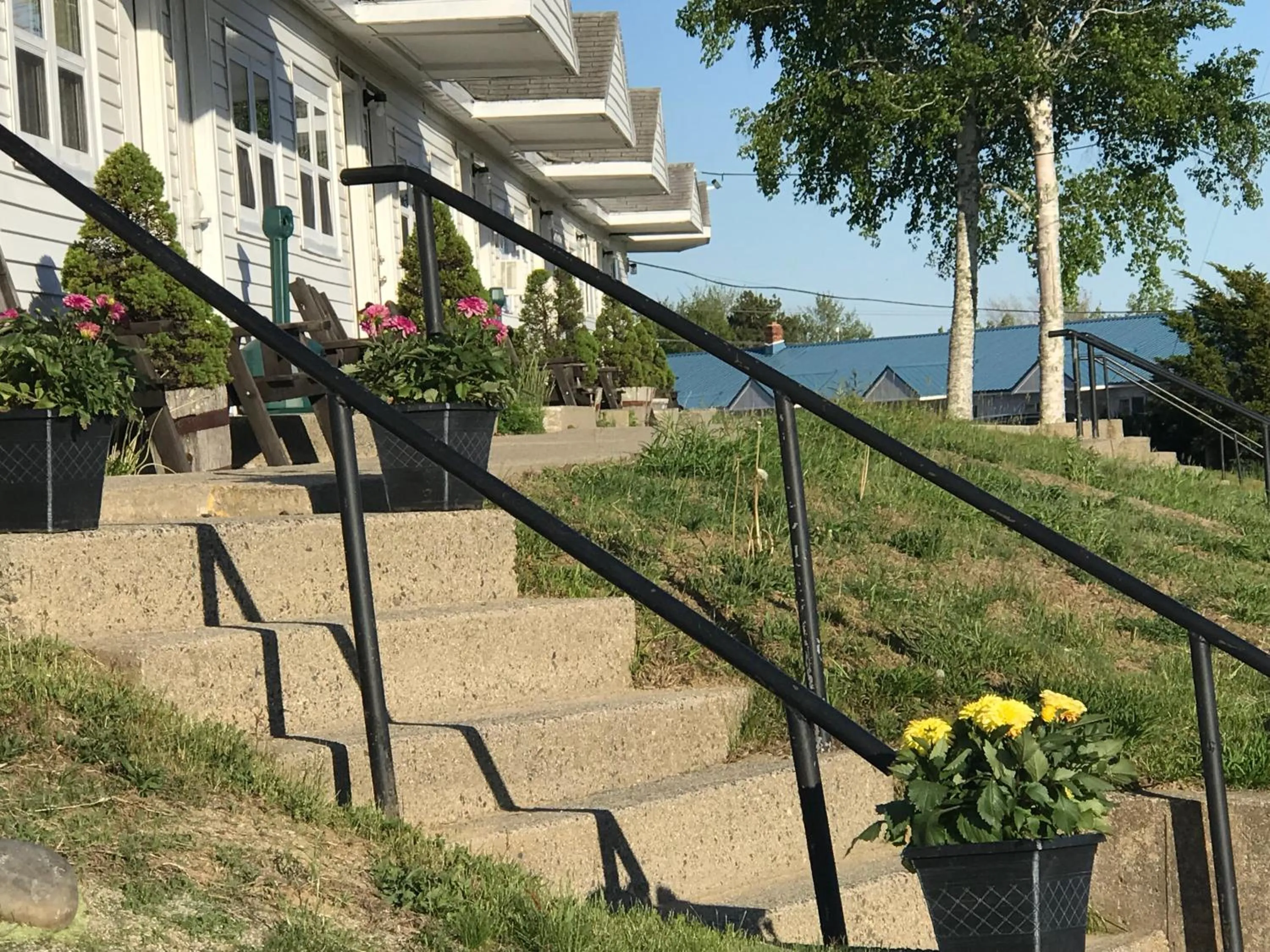 Property building in White Birches Motel