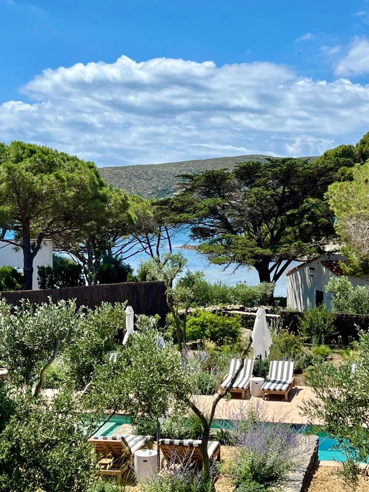 Garden view in Boutique Hotel Villa Salvador - Adults Only by Fimedhotels