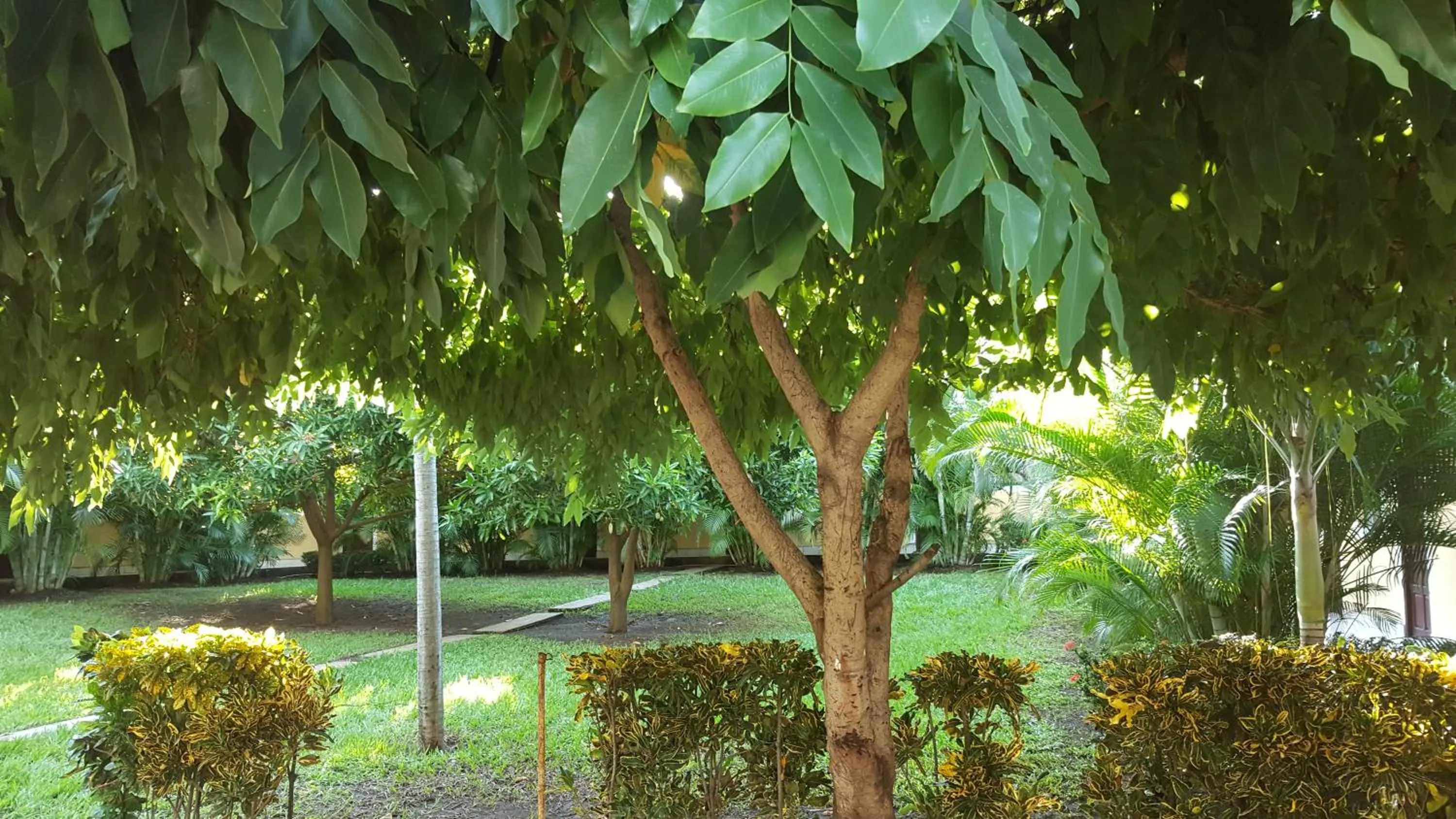 Patio in Hotel La Arboleda