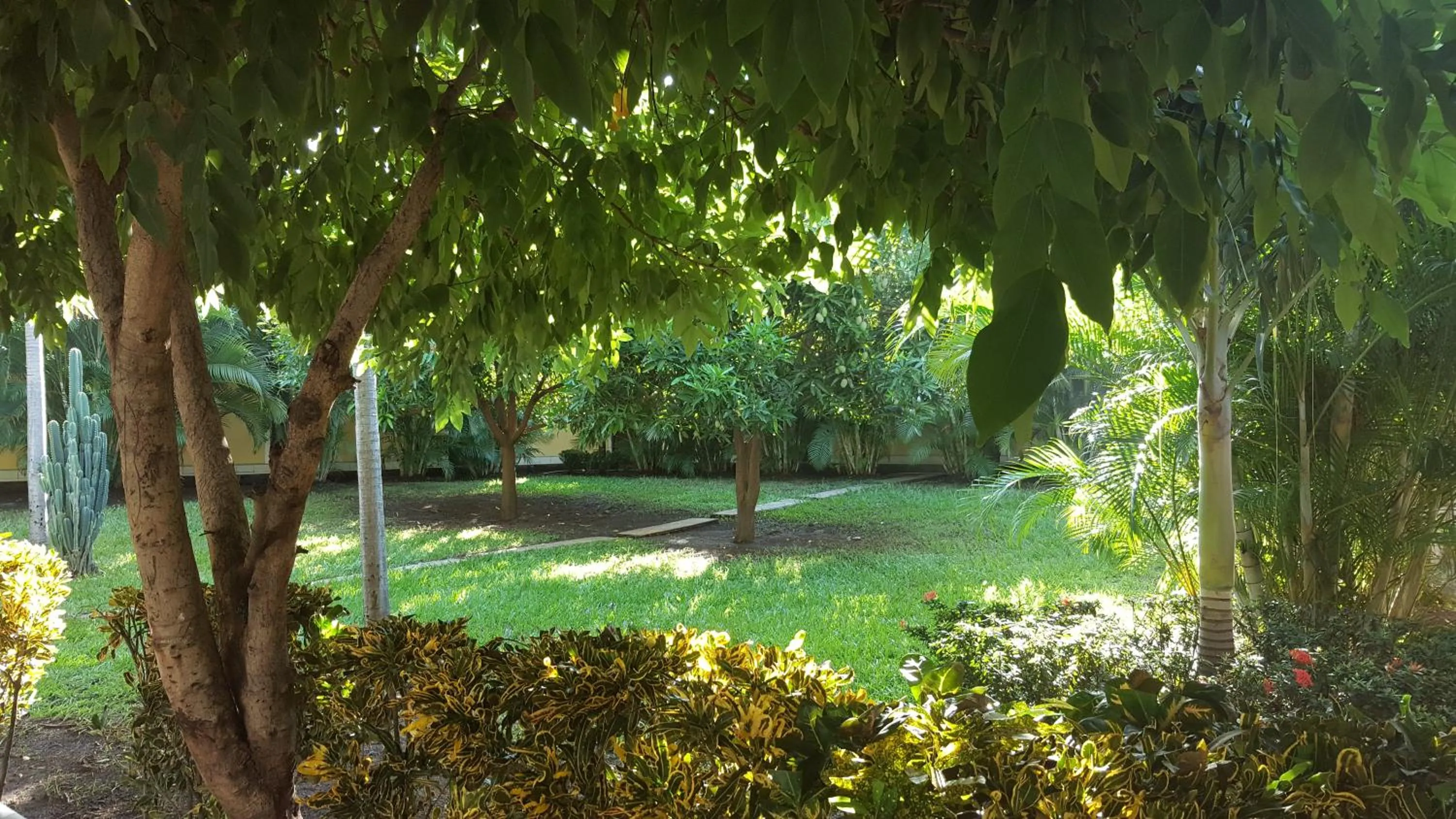 Garden in Hotel La Arboleda