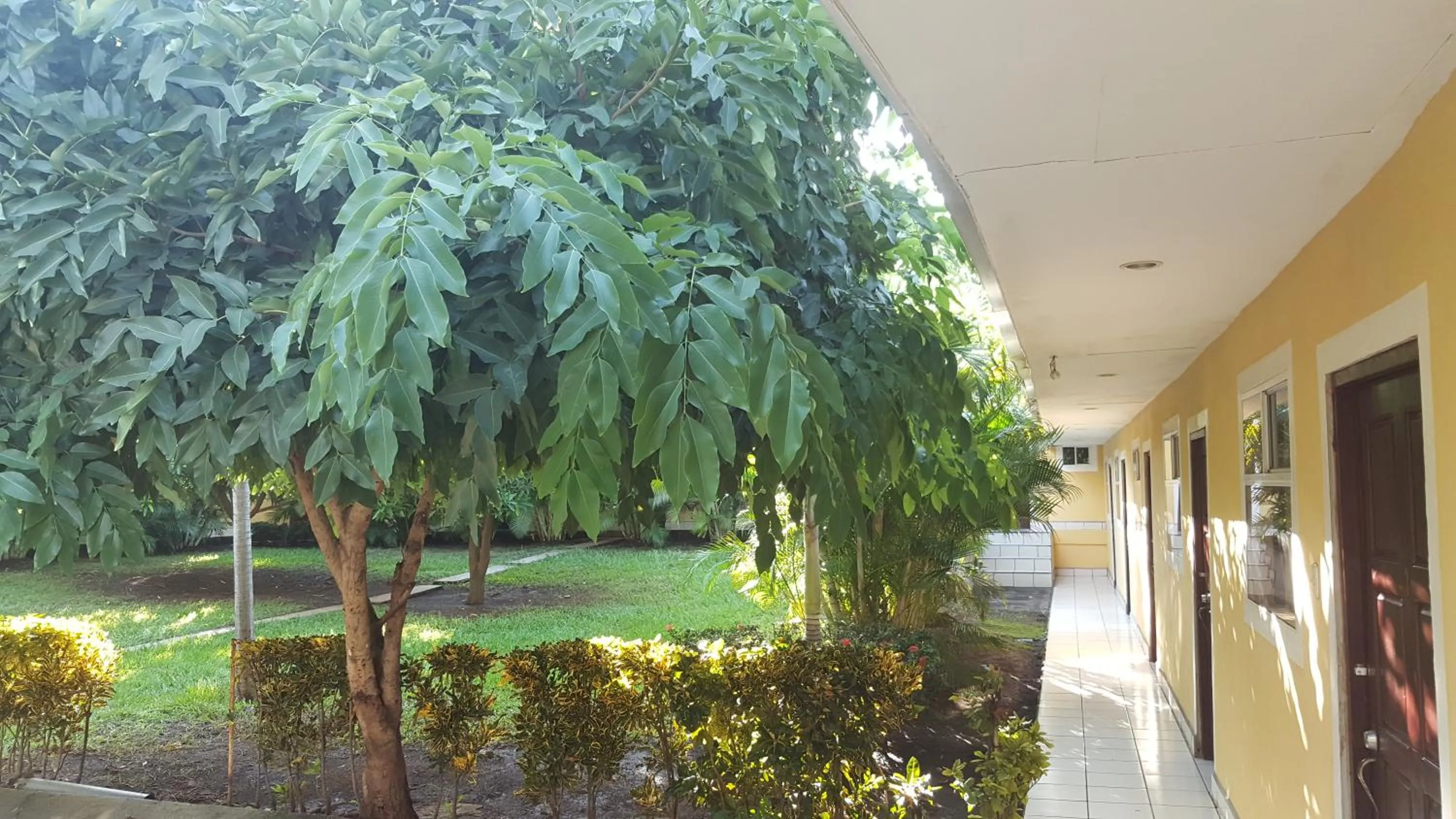 Patio in Hotel La Arboleda