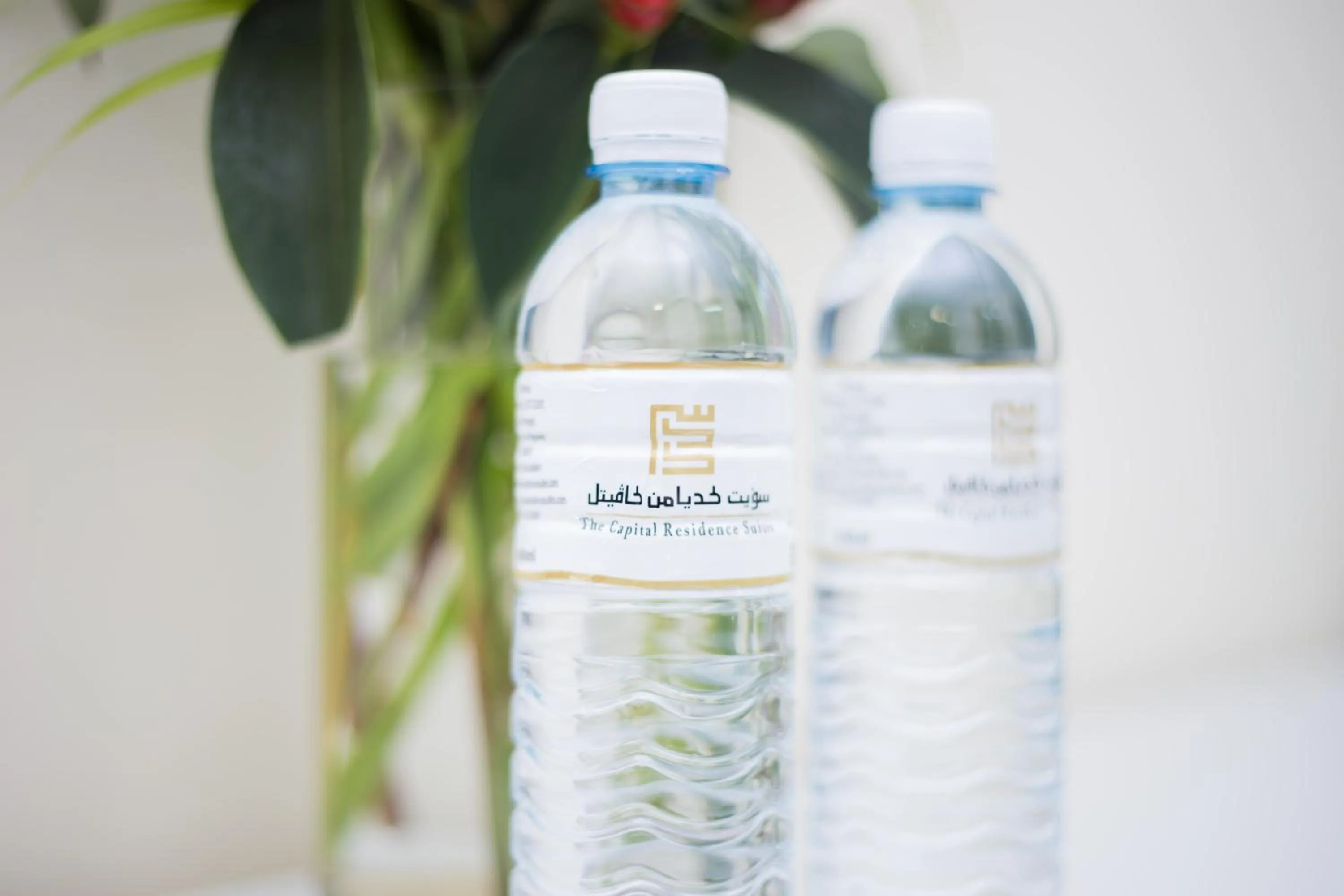 The Capital Residence Suites