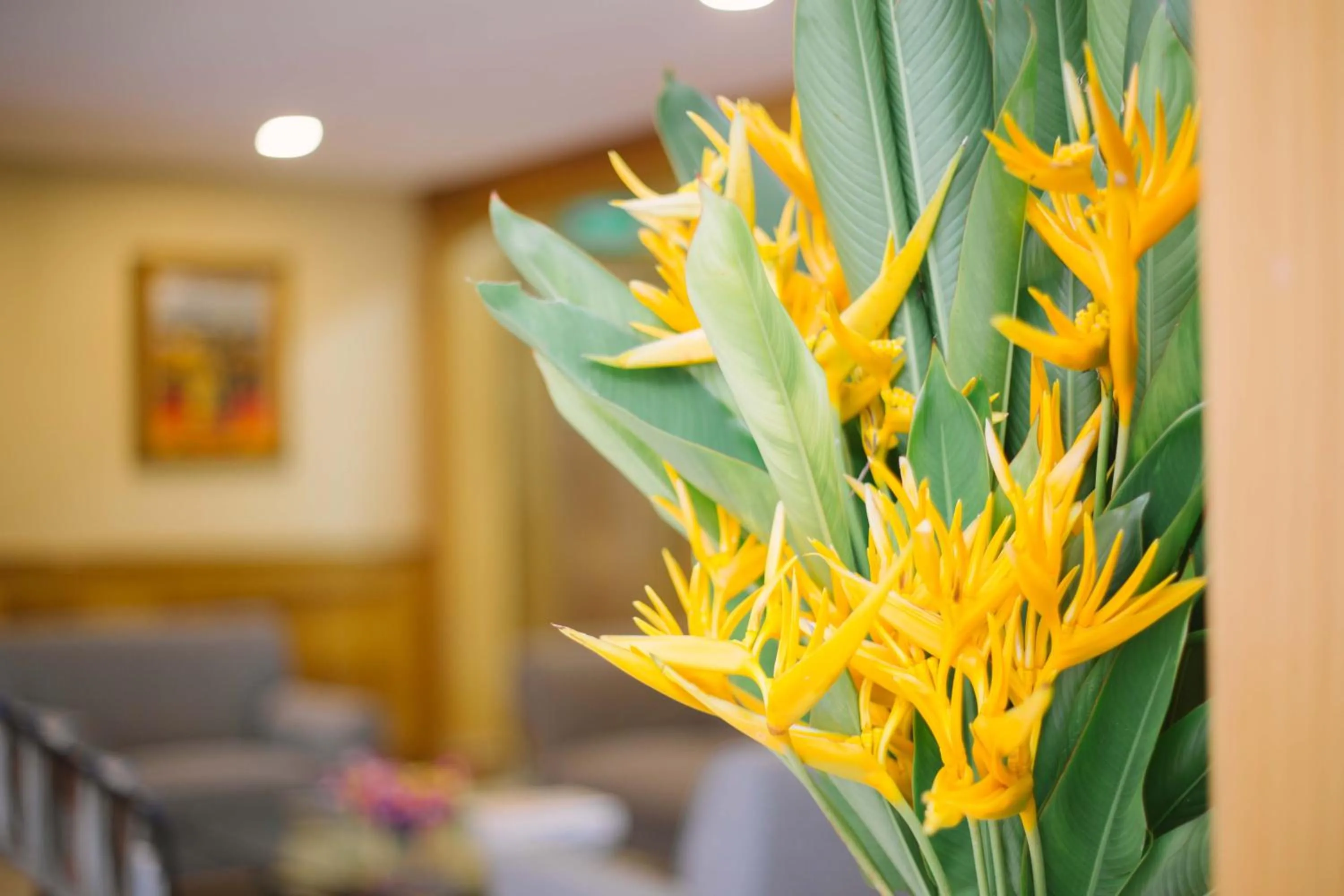 The Capital Residence Suites