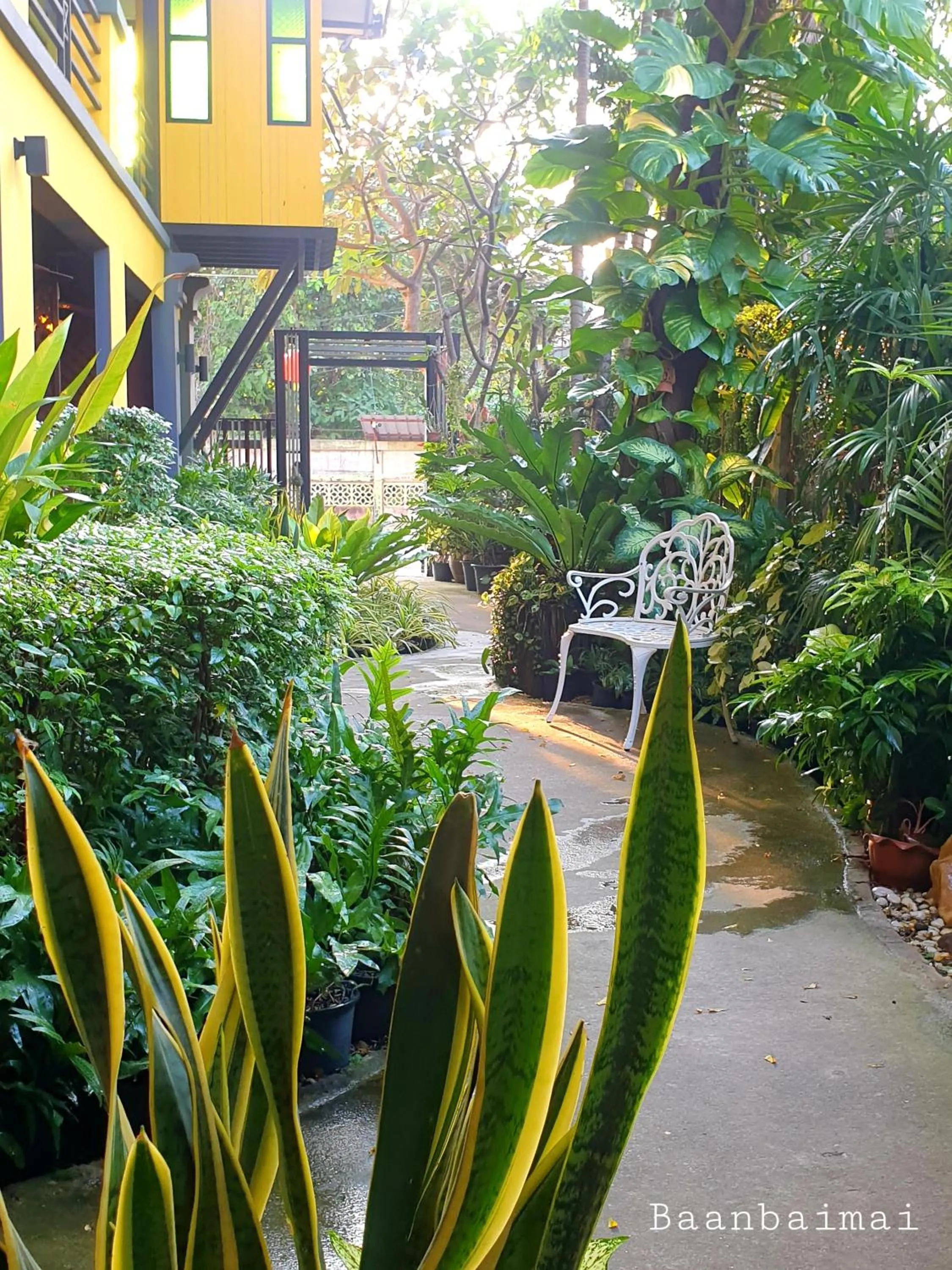 Garden view in Baan Baimai Boutique Room