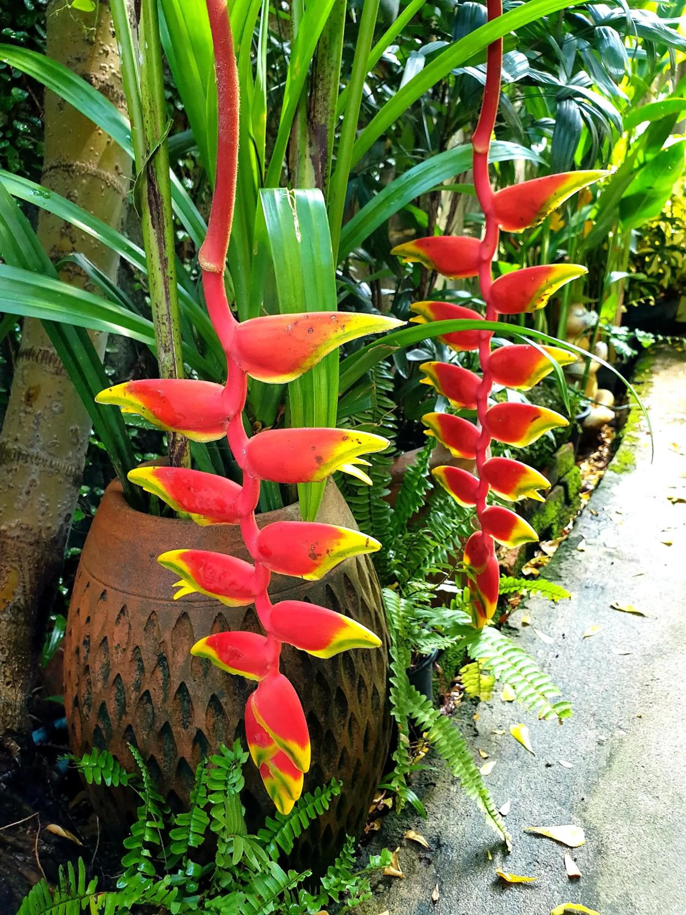 Natural landscape in Baan Baimai Boutique Room