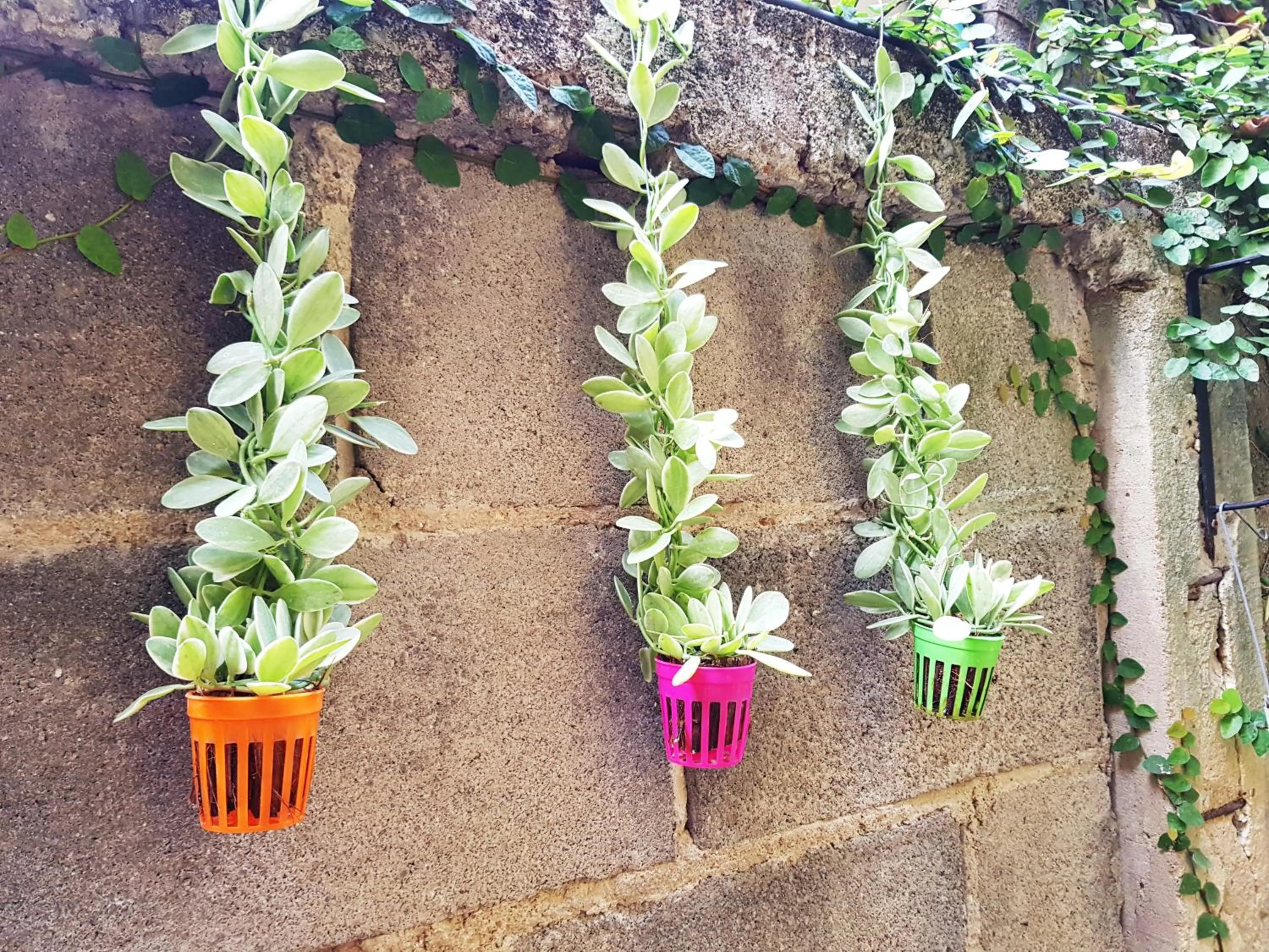 Baan Baimai Boutique Room