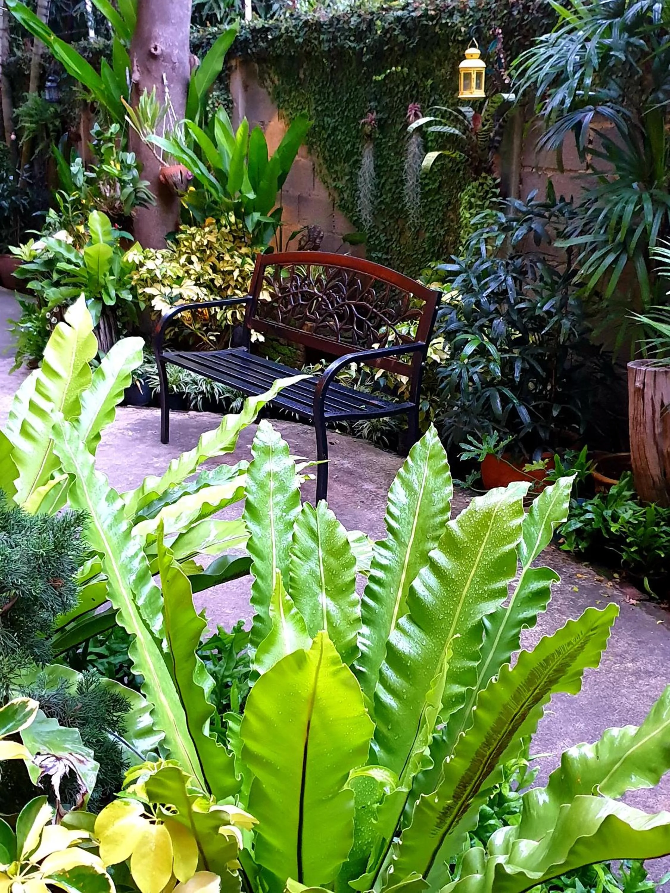 Garden in Baan Baimai Boutique Room