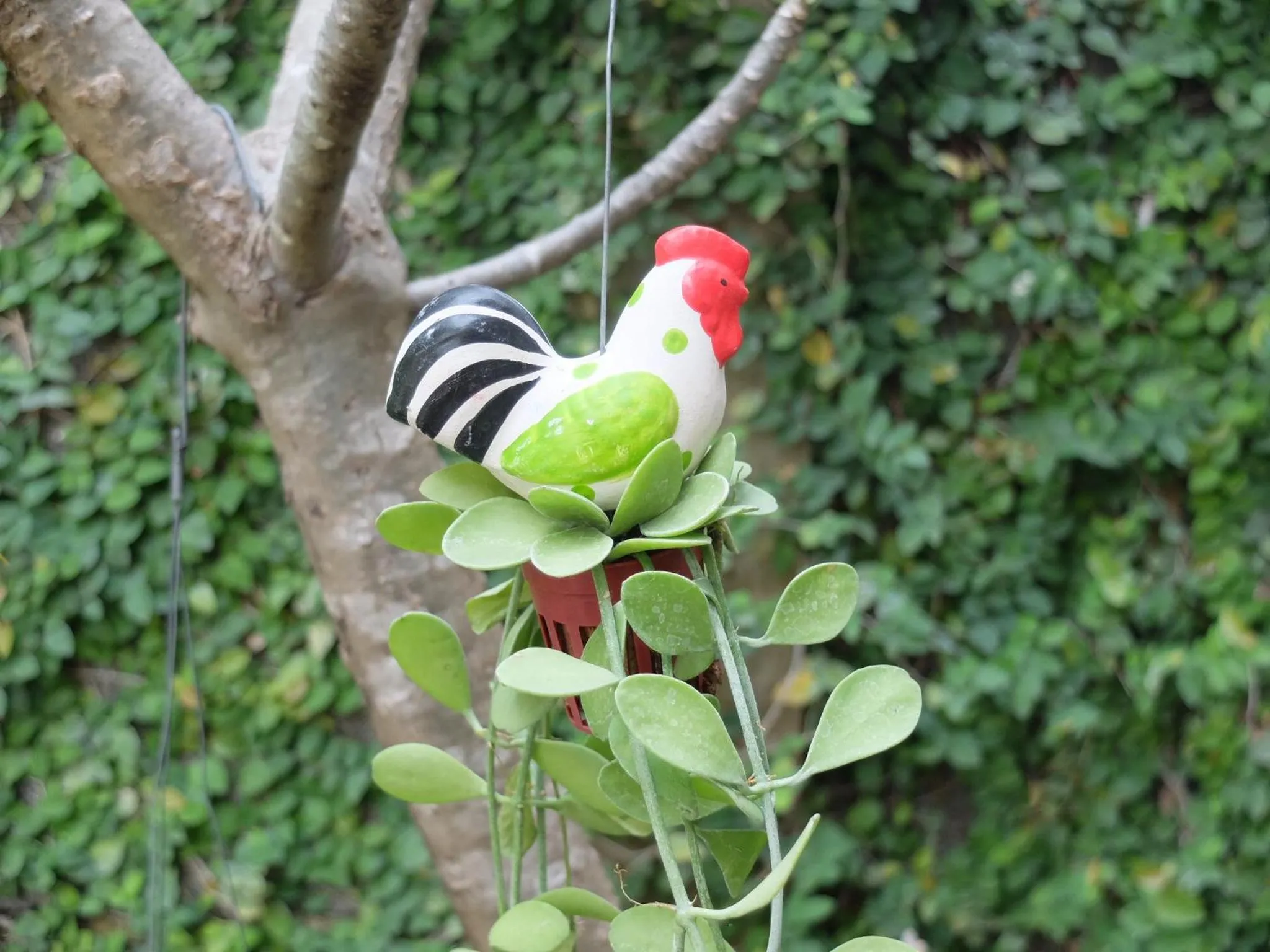 Baan Baimai Boutique Room