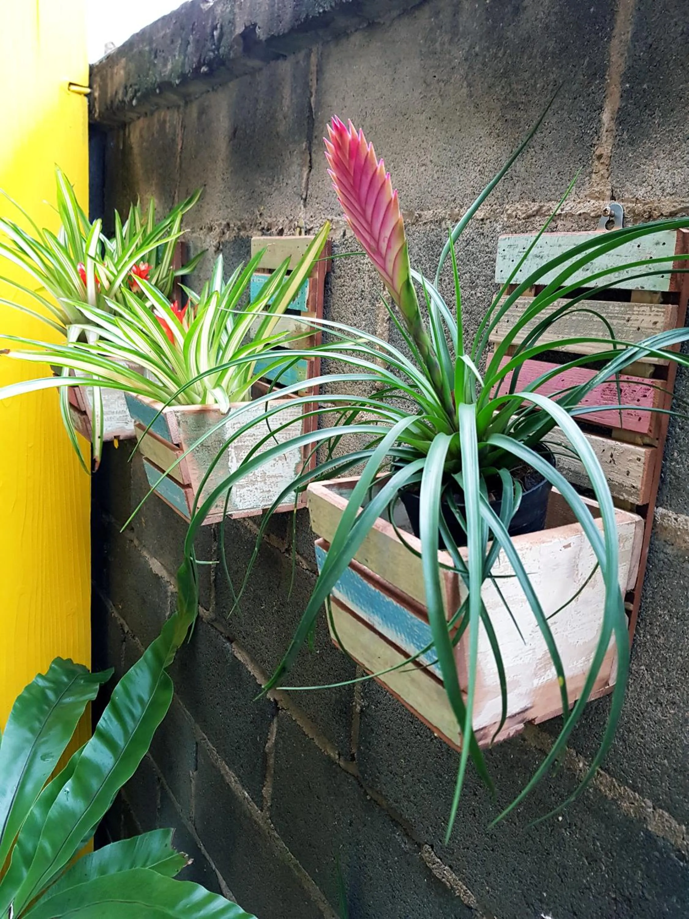 Property building in Baan Baimai Boutique Room