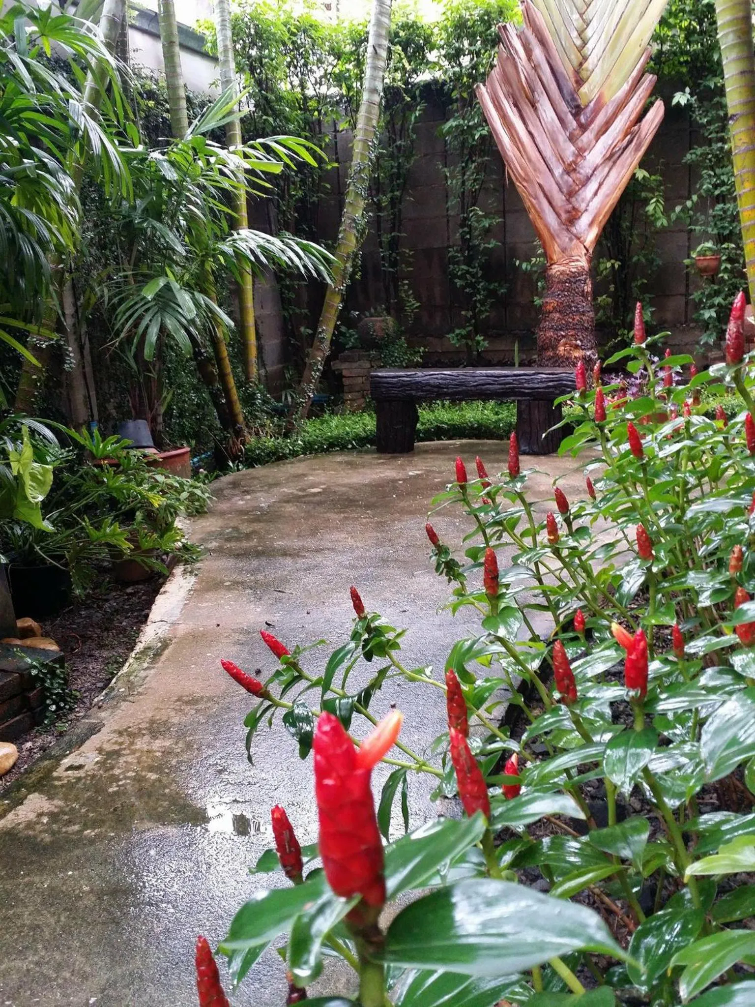 Baan Baimai Boutique Room