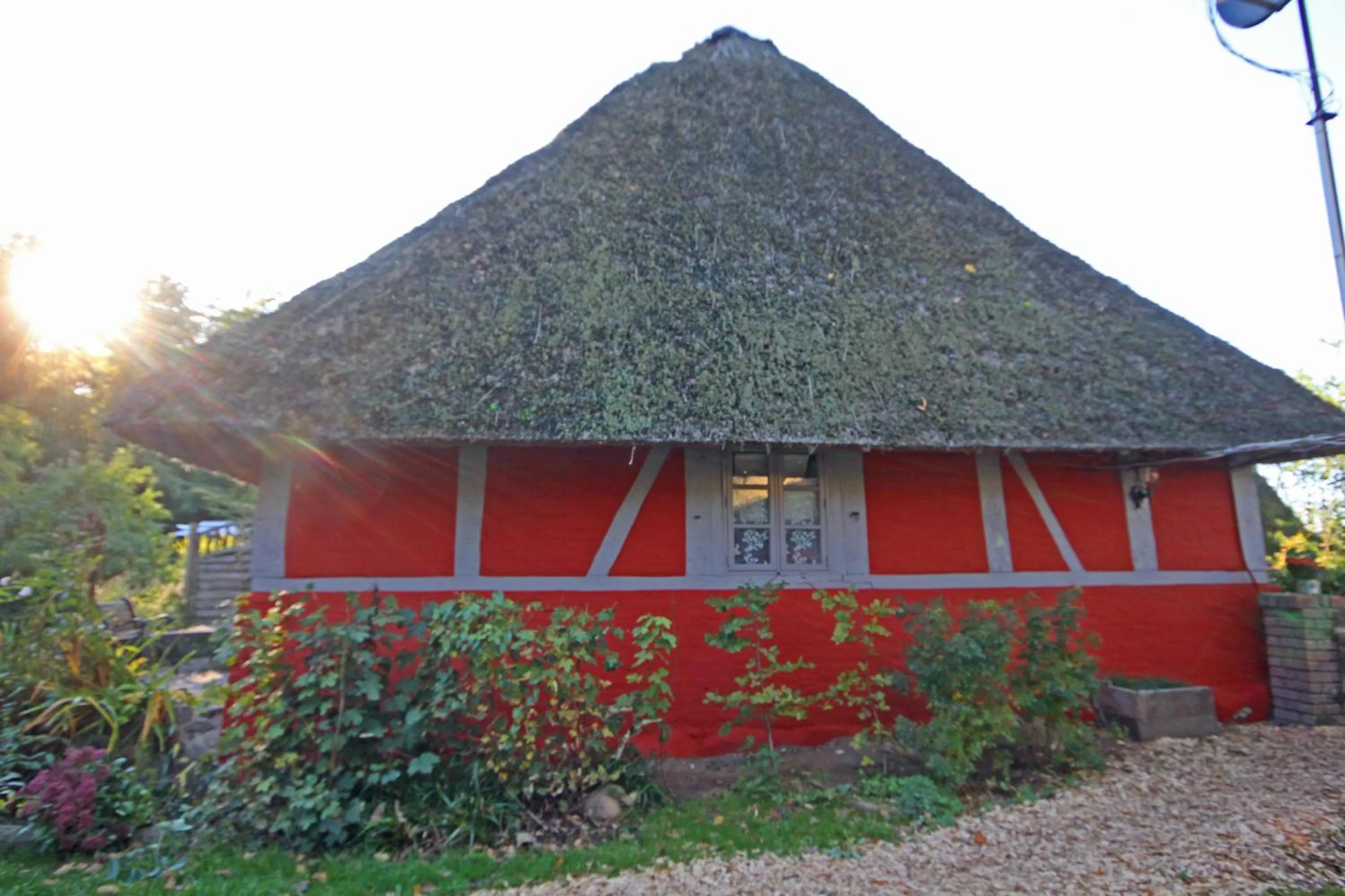 Property building in Wohnungen unter Reet