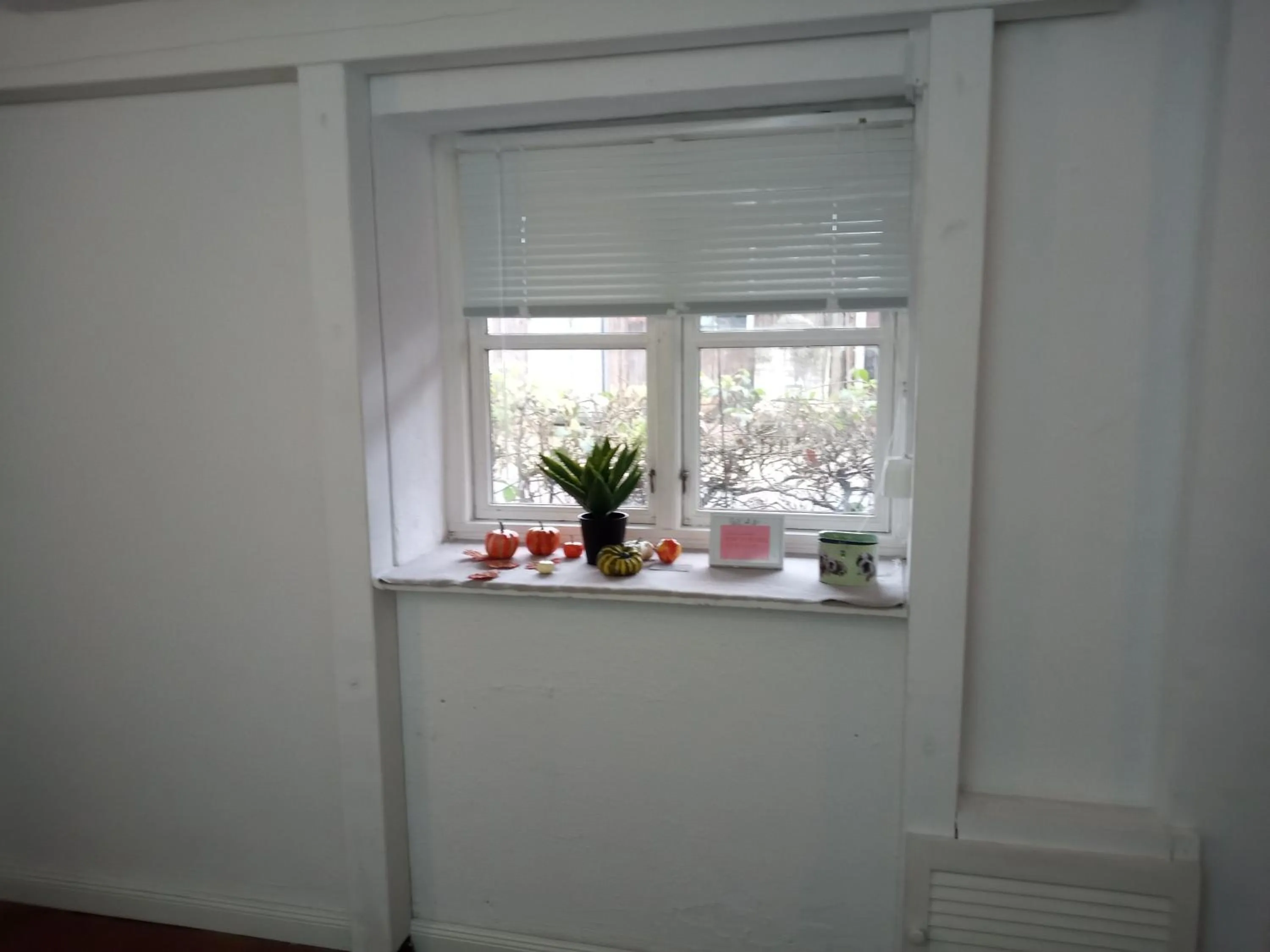 kitchen in Wohnungen unter Reet