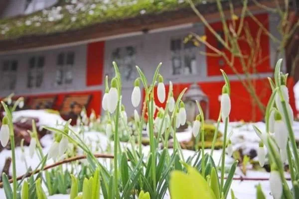 Property building in Wohnungen unter Reet