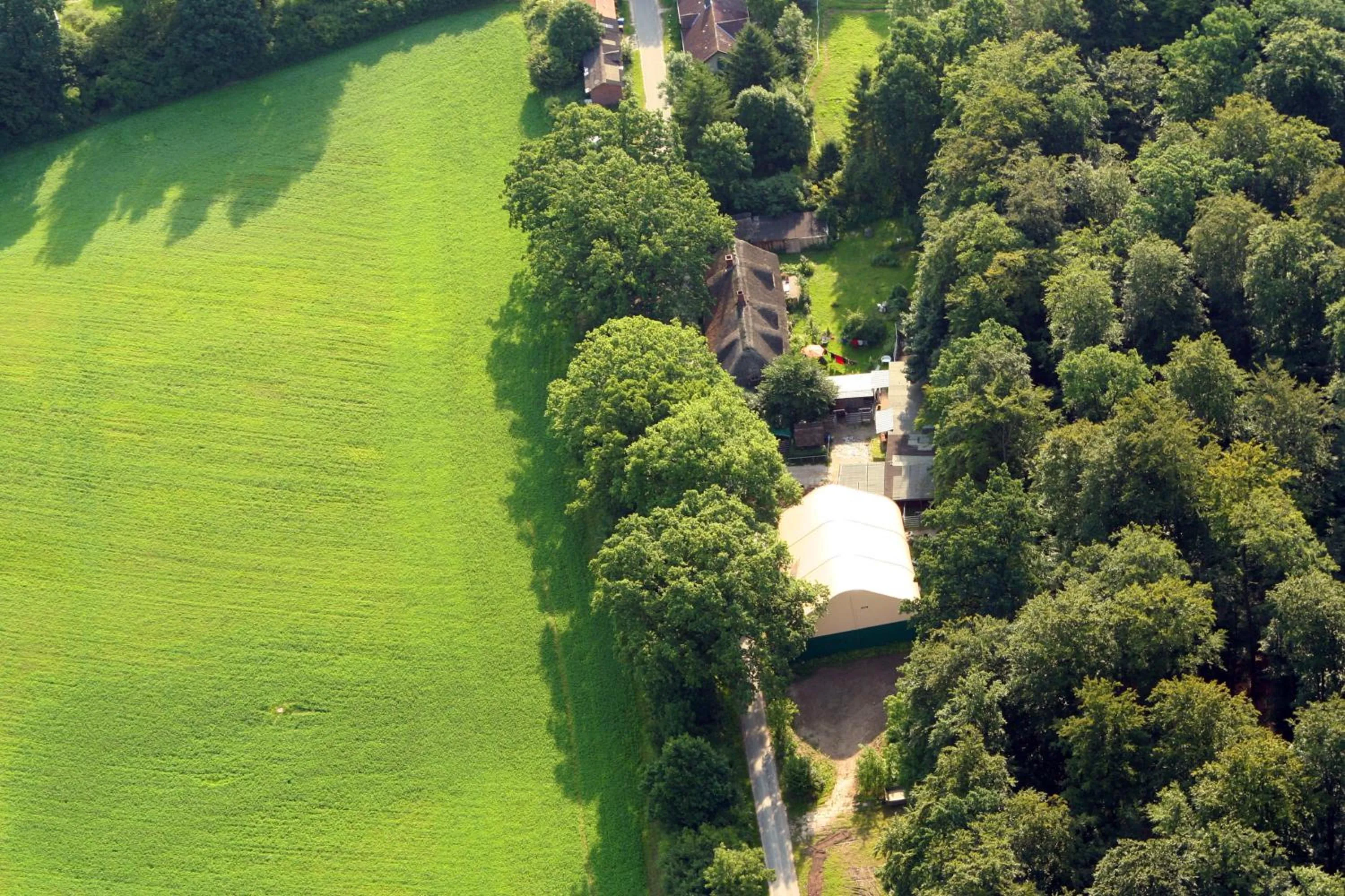 Bird's eye view in Wohnungen unter Reet