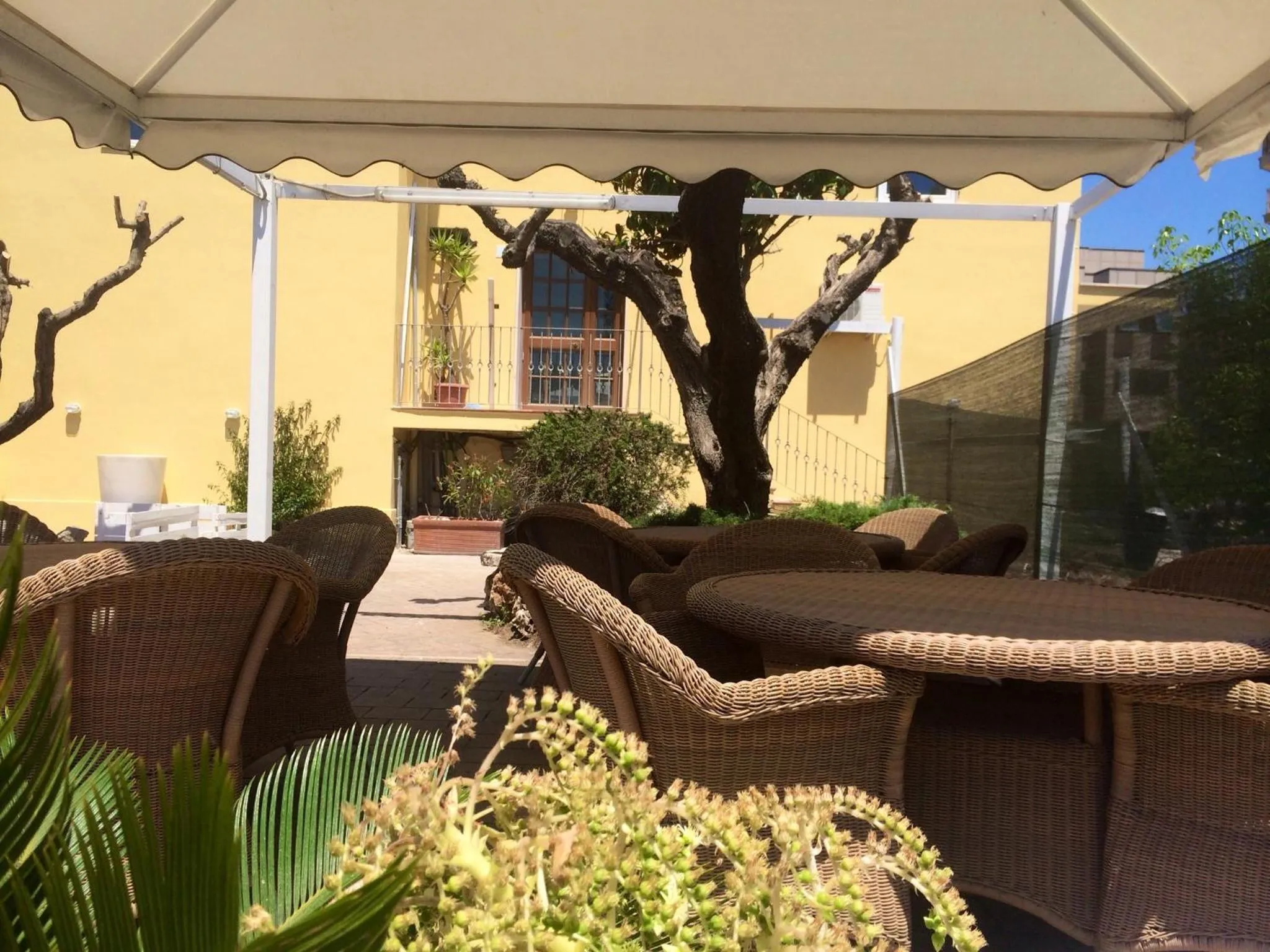 Garden in My Room Roma