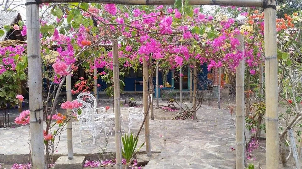 Patio in Elephant House and Bungalows Gili Air