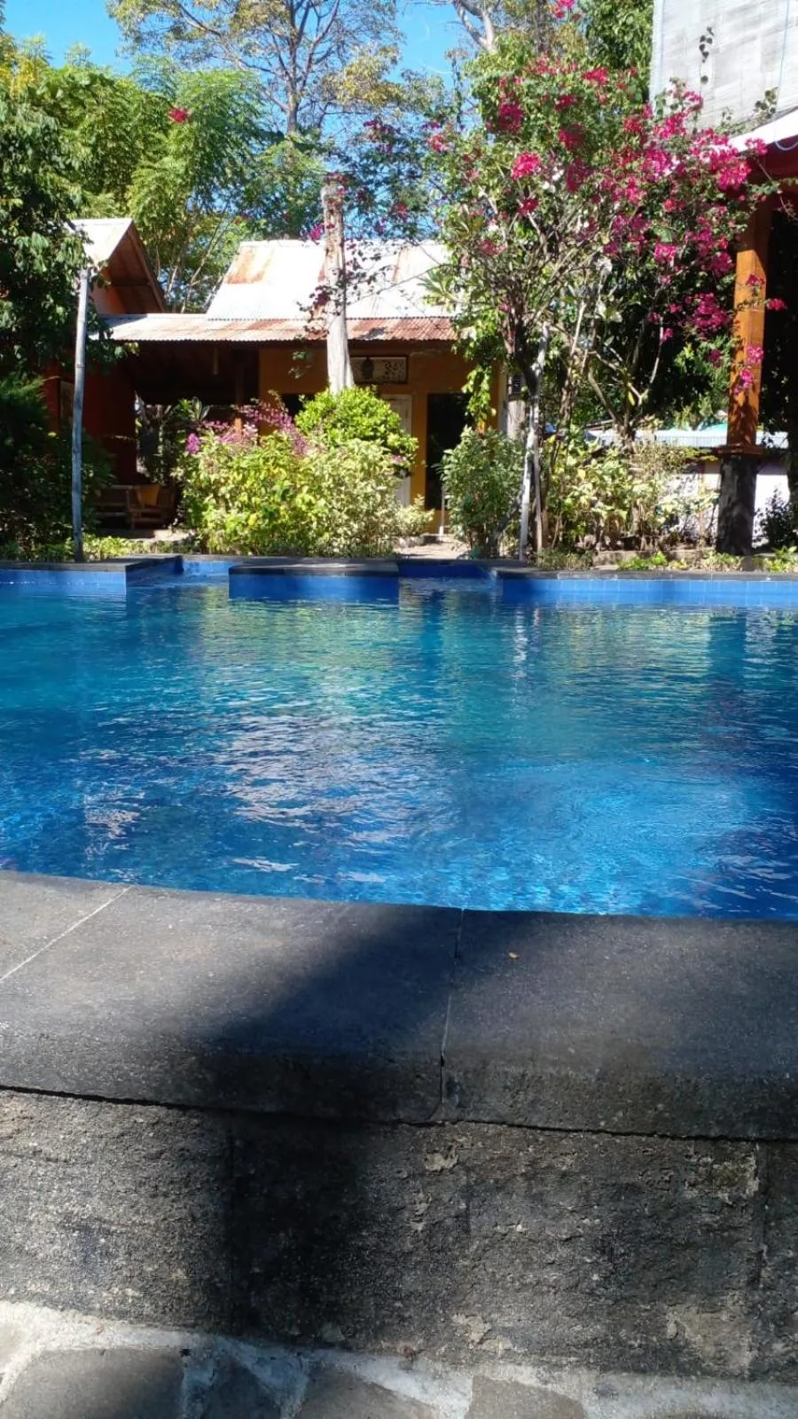 Swimming pool in Elephant House and Bungalows Gili Air