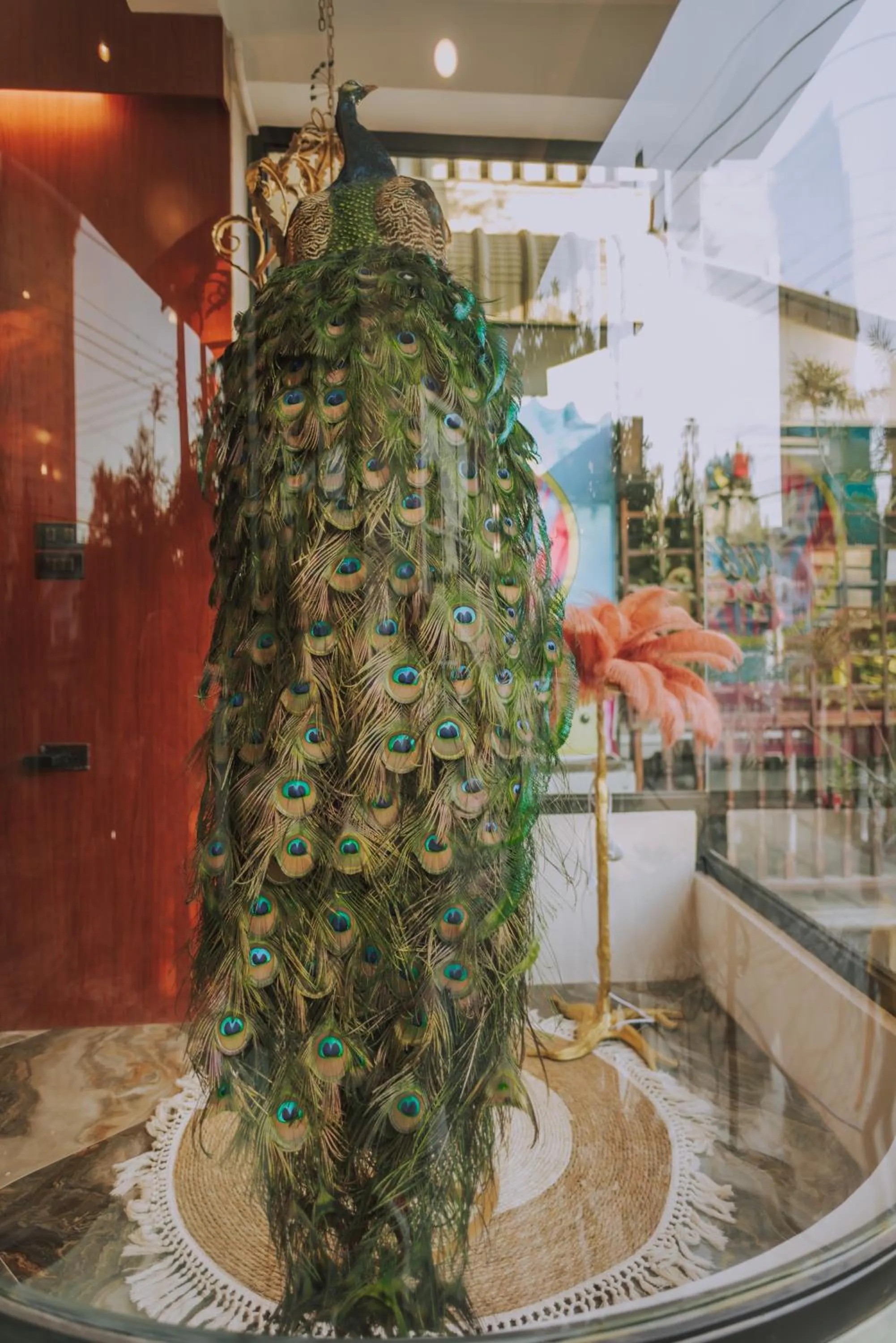 Ma Muan Budget & Boutique Chiang Mai