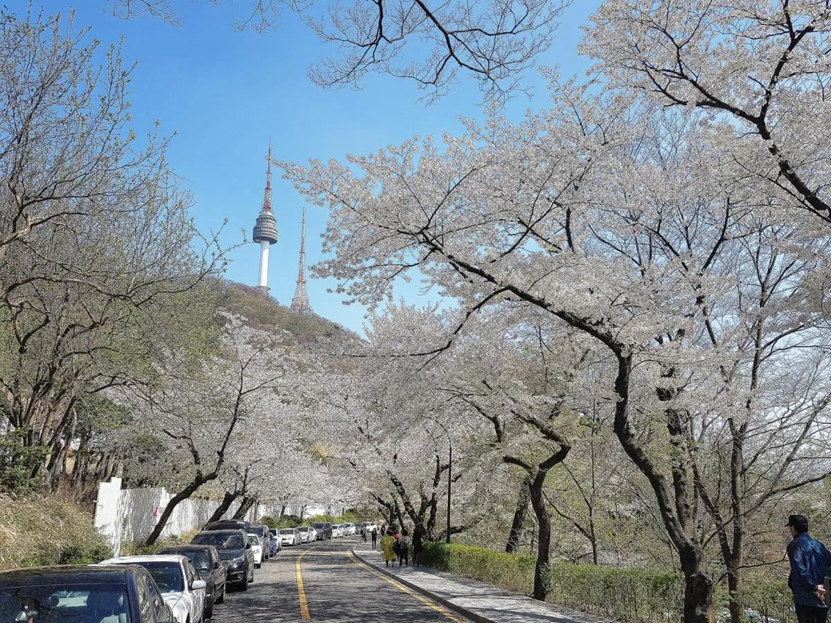 Neighbourhood in Namsan Guesthouse