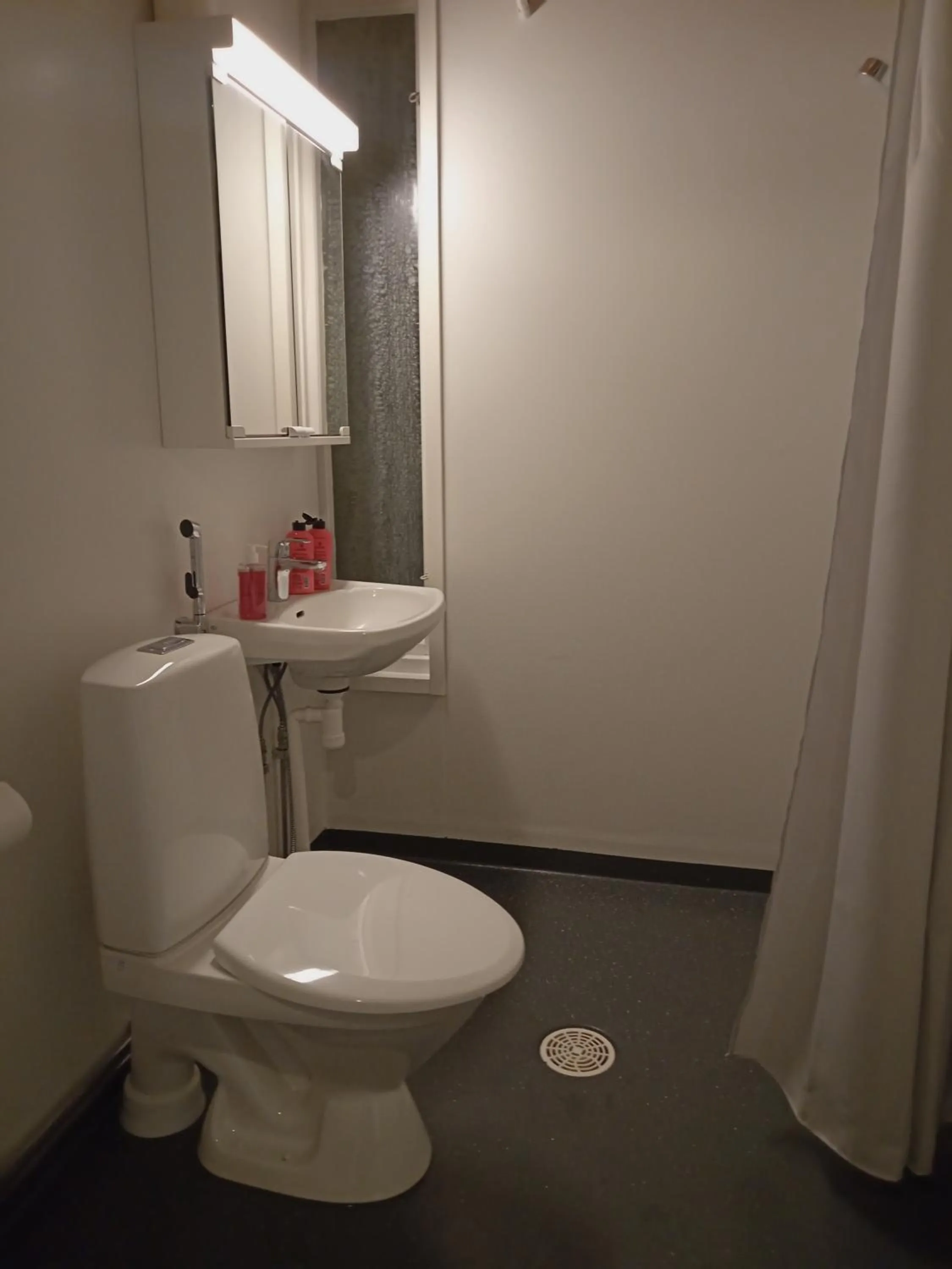 Toilet in Warkhaus Apartments Korpela