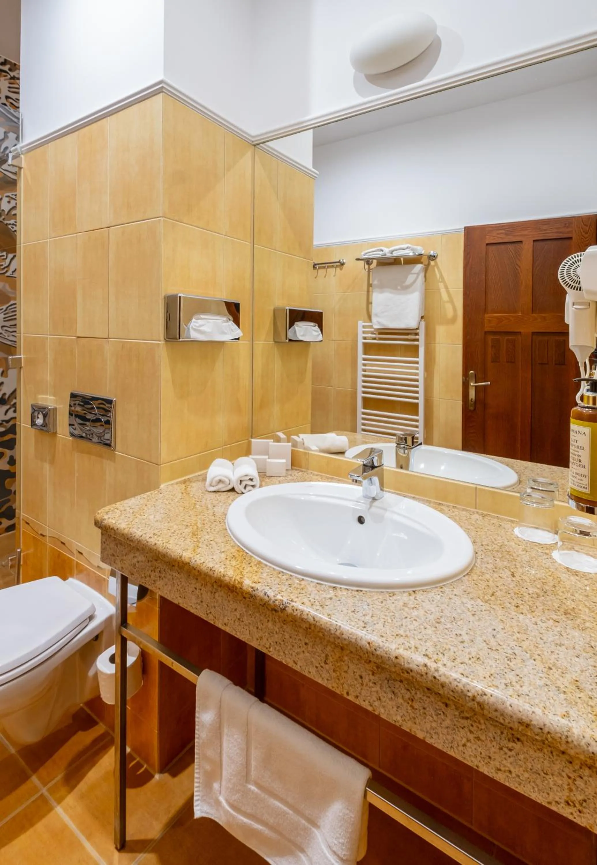 Bathroom in Hotel Golden Eagle