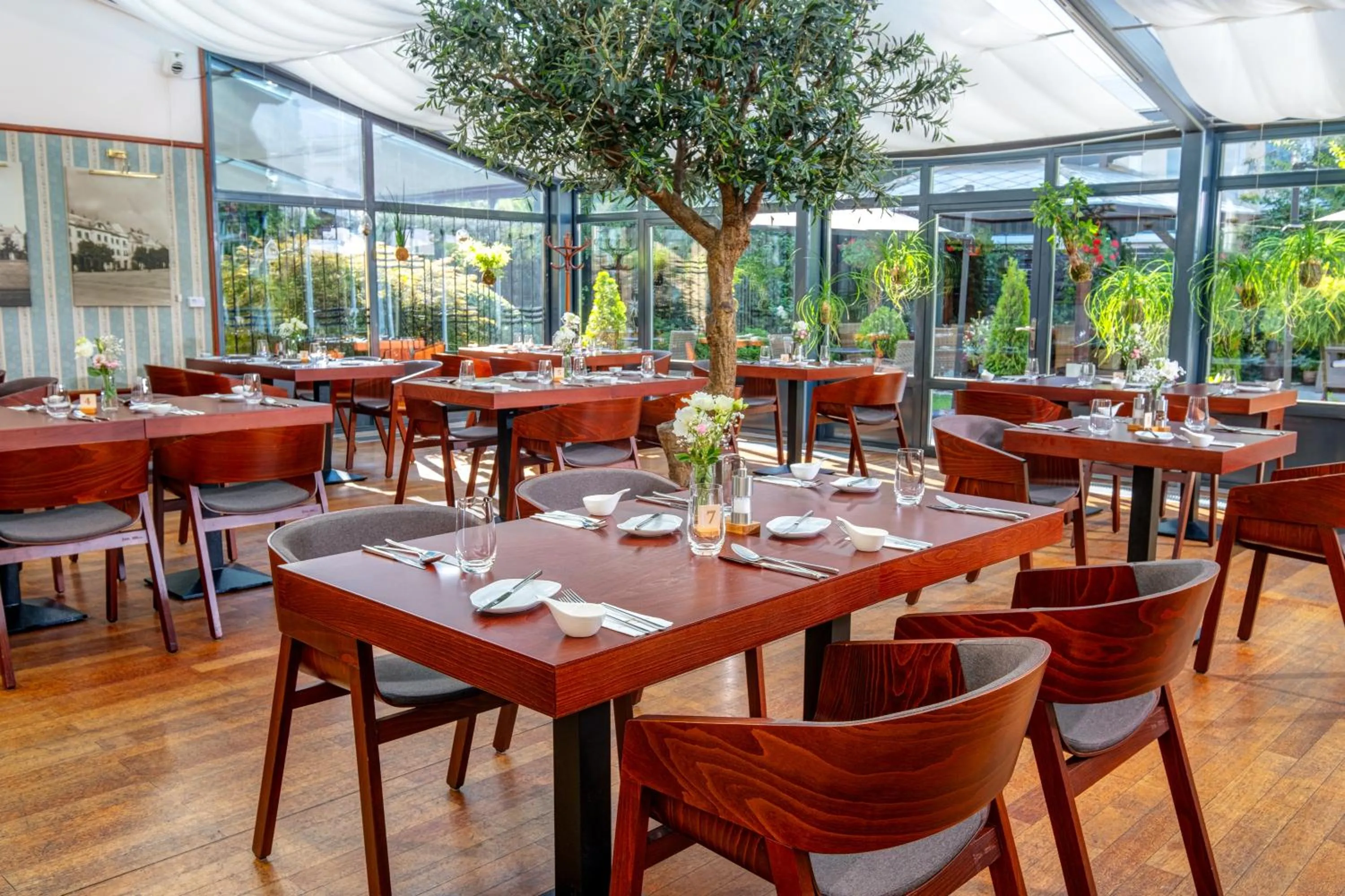 Restaurant/places to eat in Hotel Golden Eagle