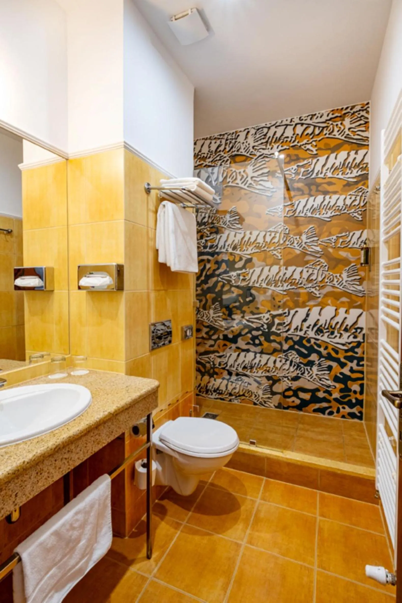 Shower in Hotel Golden Eagle