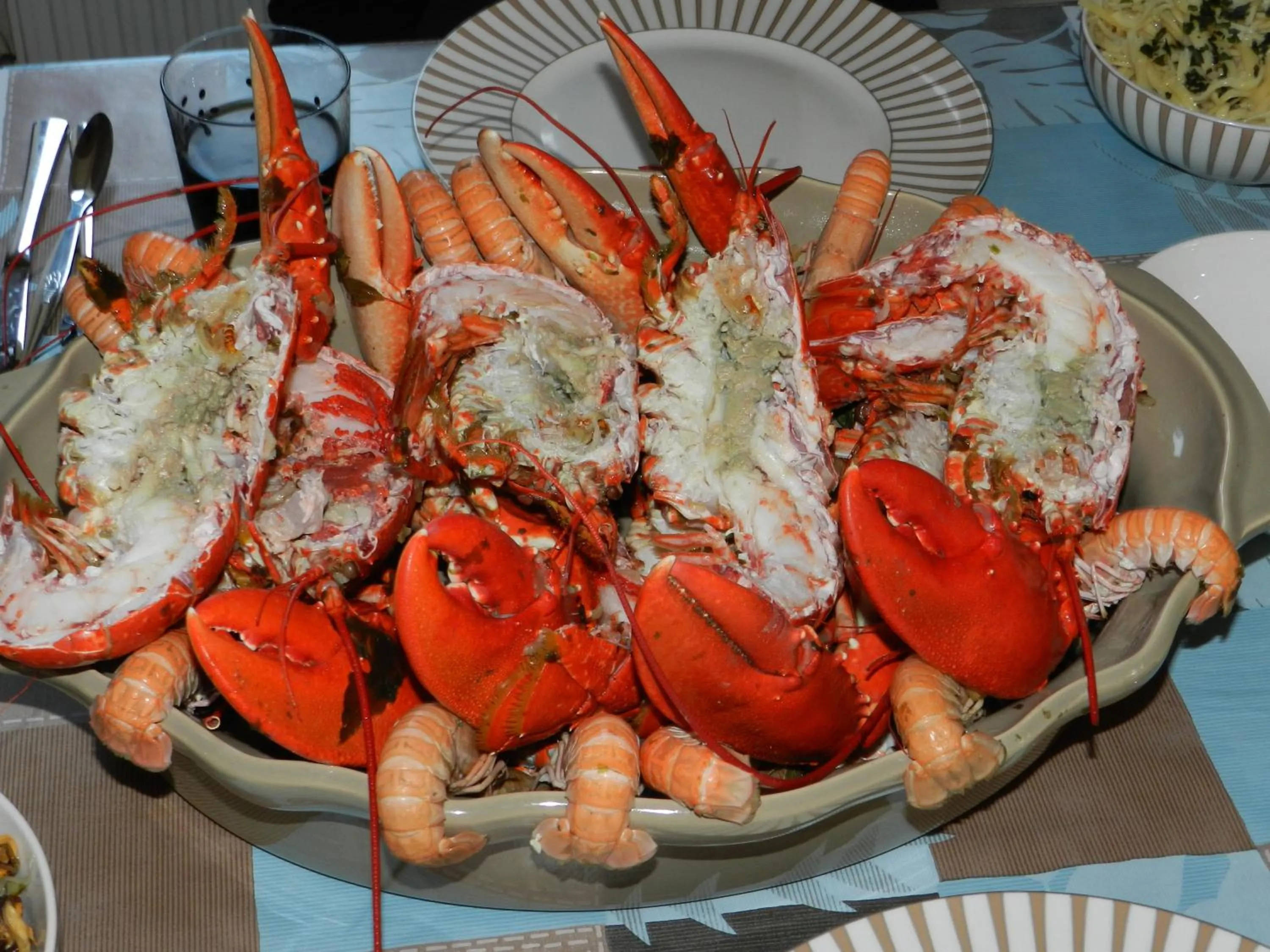 Food in Gîte de Vacances - Côtes d Armor - Pluduno, Plancoët