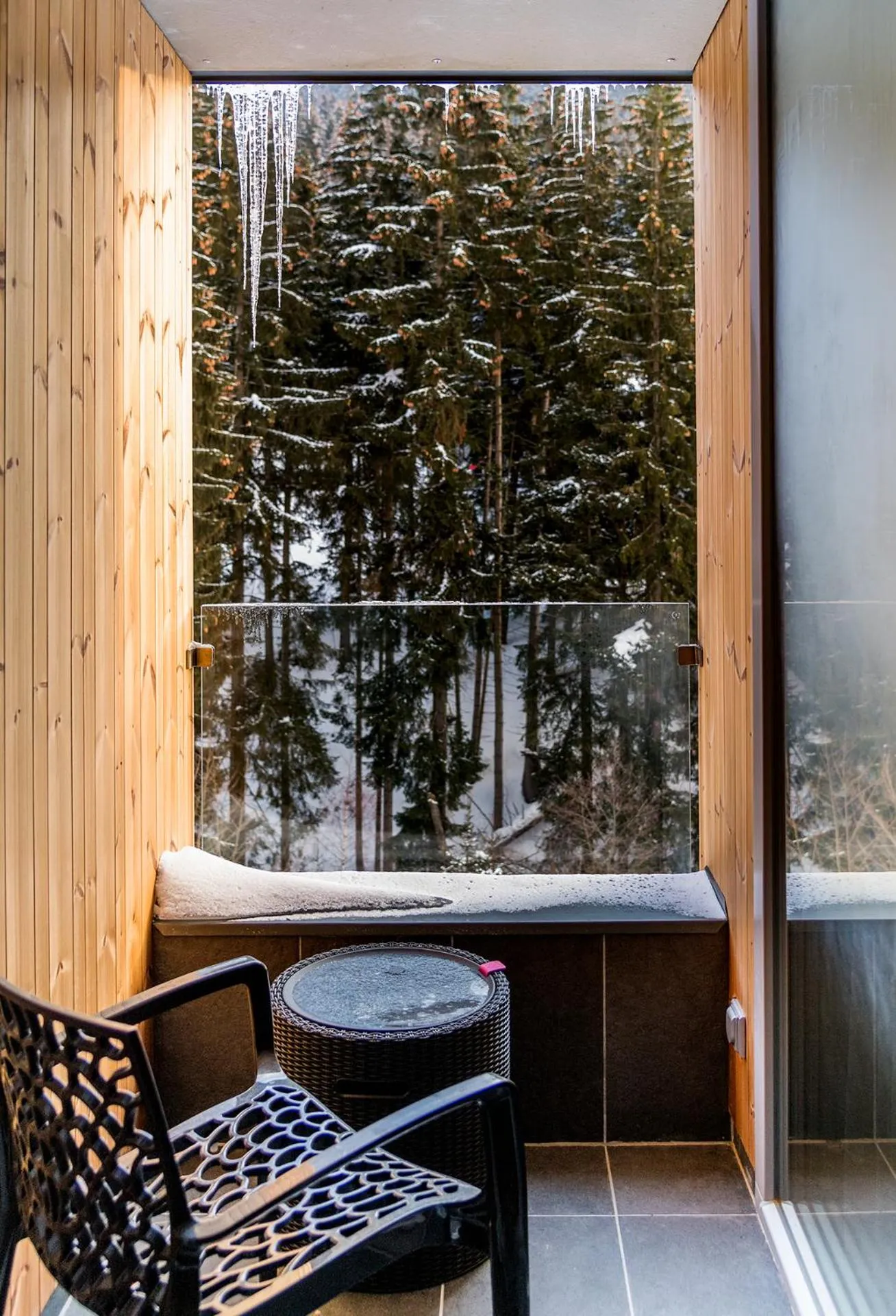 Winter in HOTEL PECR WELL