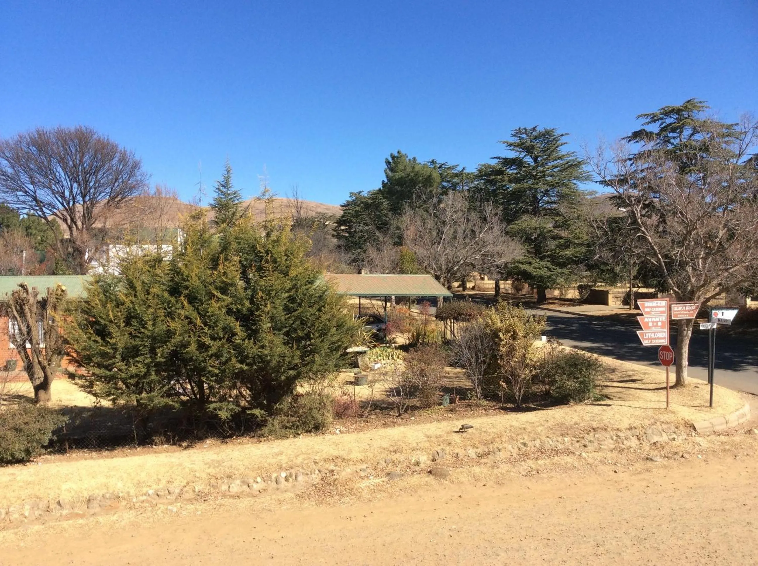 Street view in 278 on Main