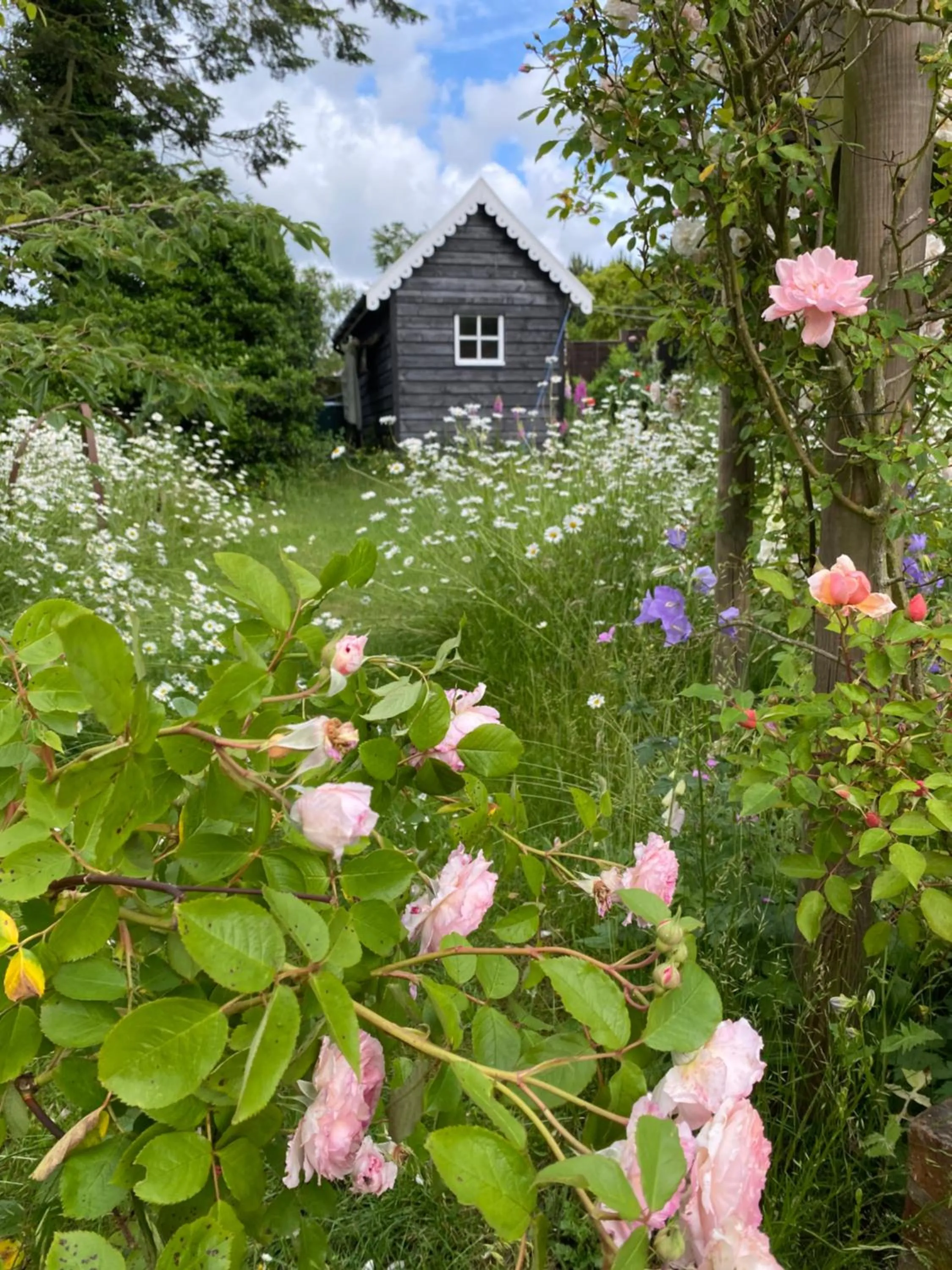 Mulleys Cottage (Bed and Breakfast)