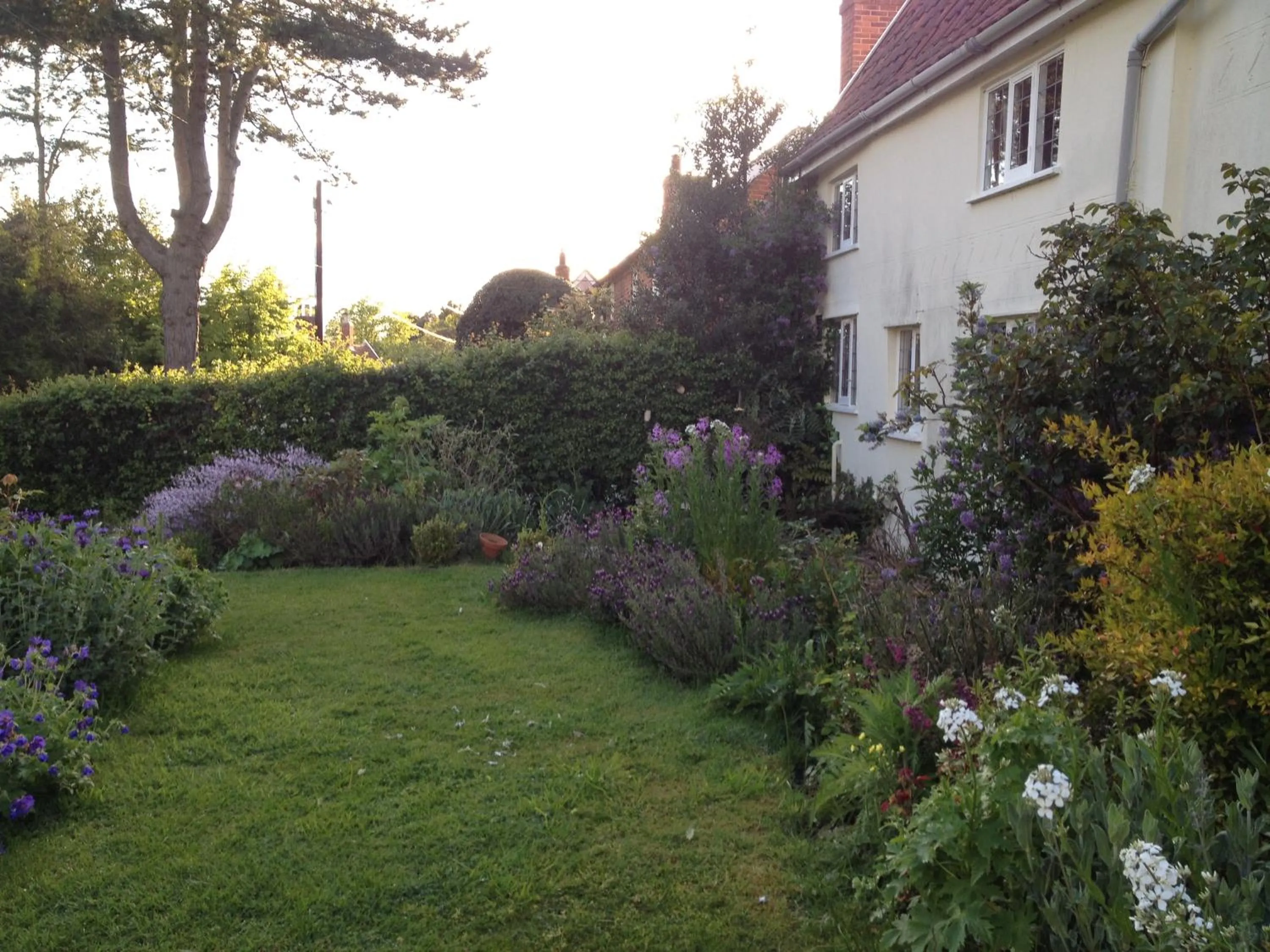 View (from property/room) in Mulleys Cottage (Bed and Breakfast)