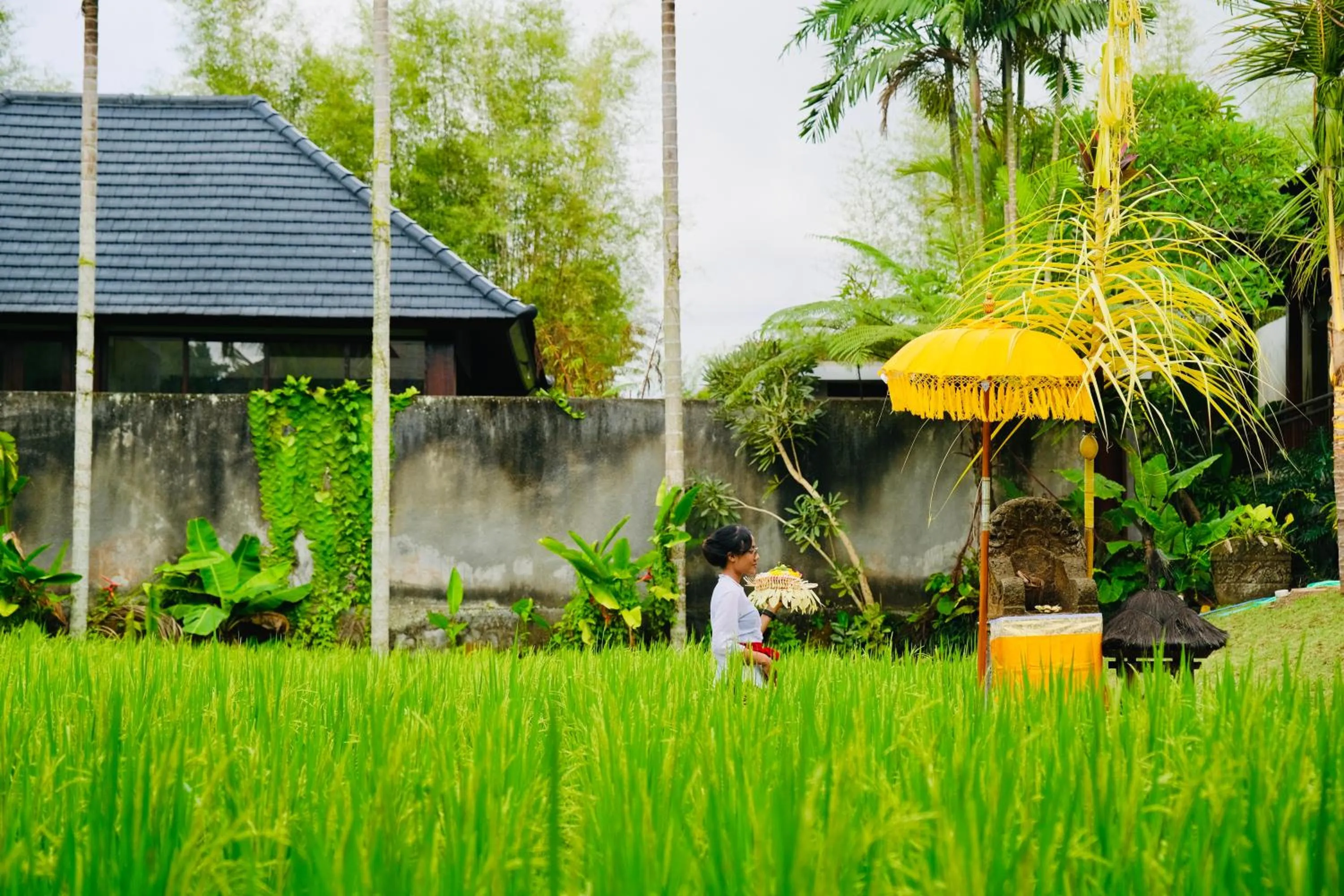 Natural landscape in Wana Karsa The Villas Ubud