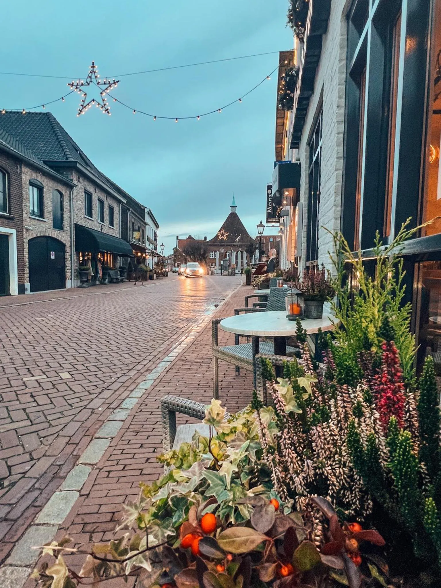 Area and facilities in Hotel De Maasparel Arcen