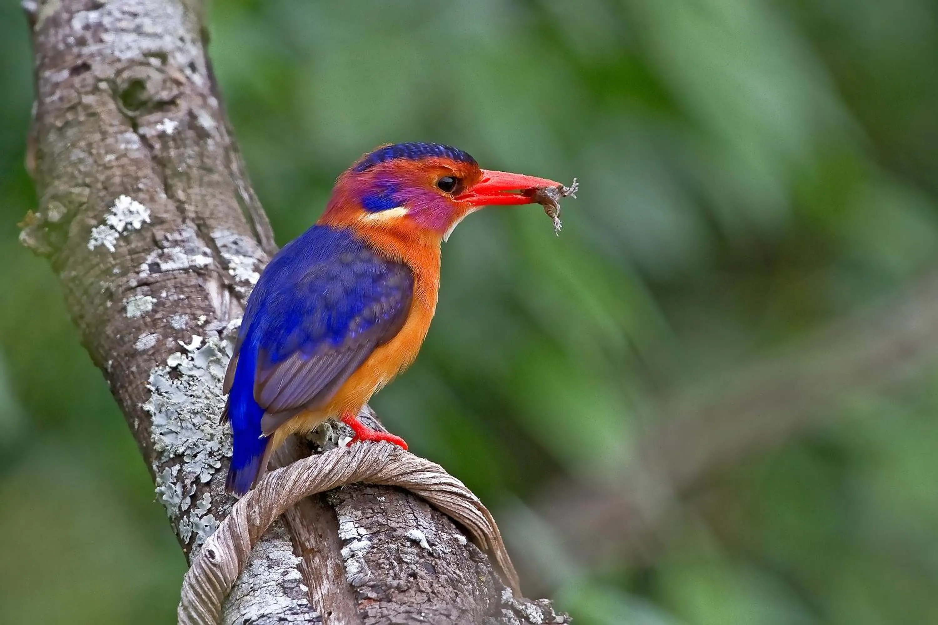 Natural landscape in RiverBend Lodge