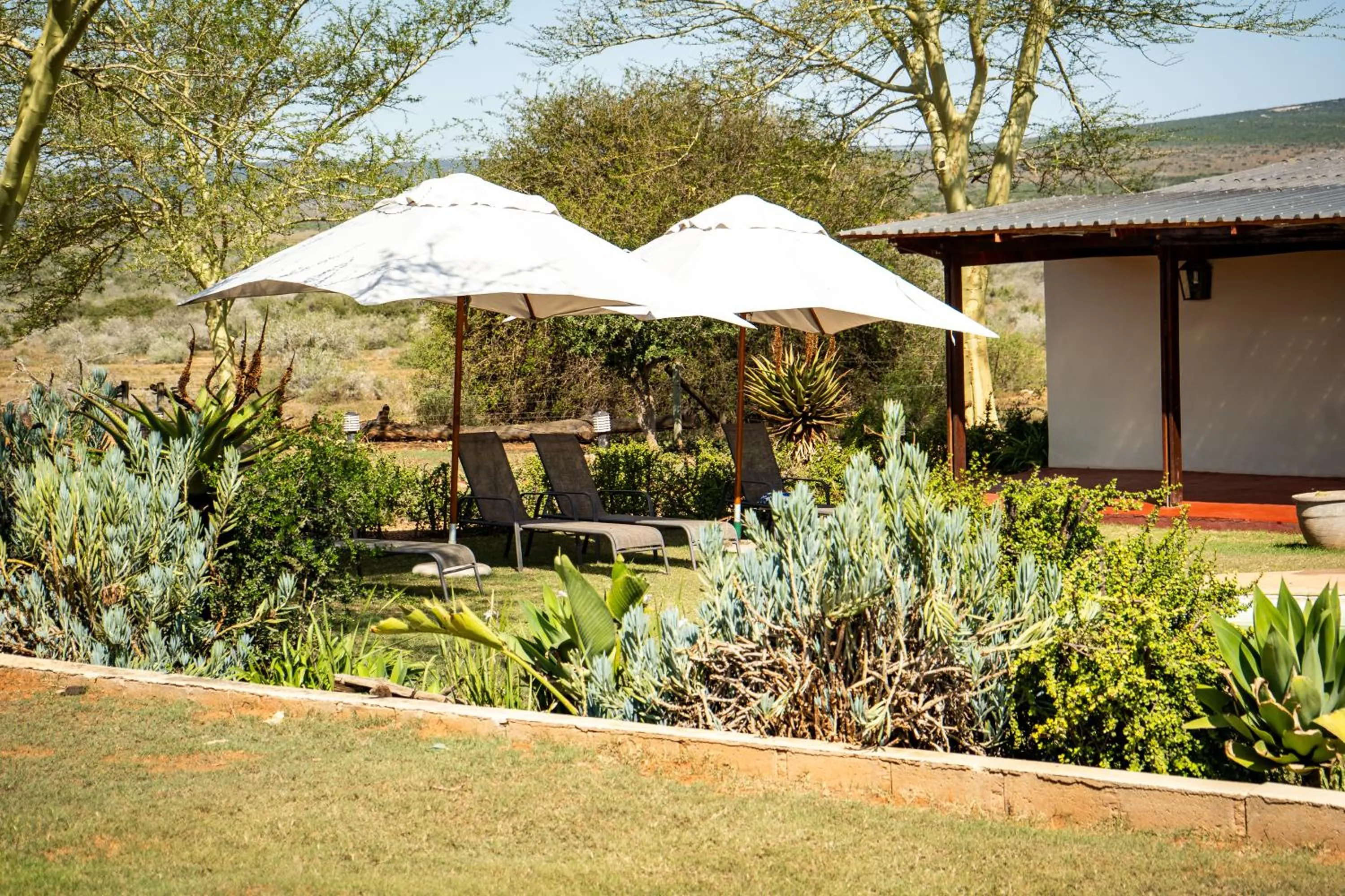 Garden in RiverBend Lodge