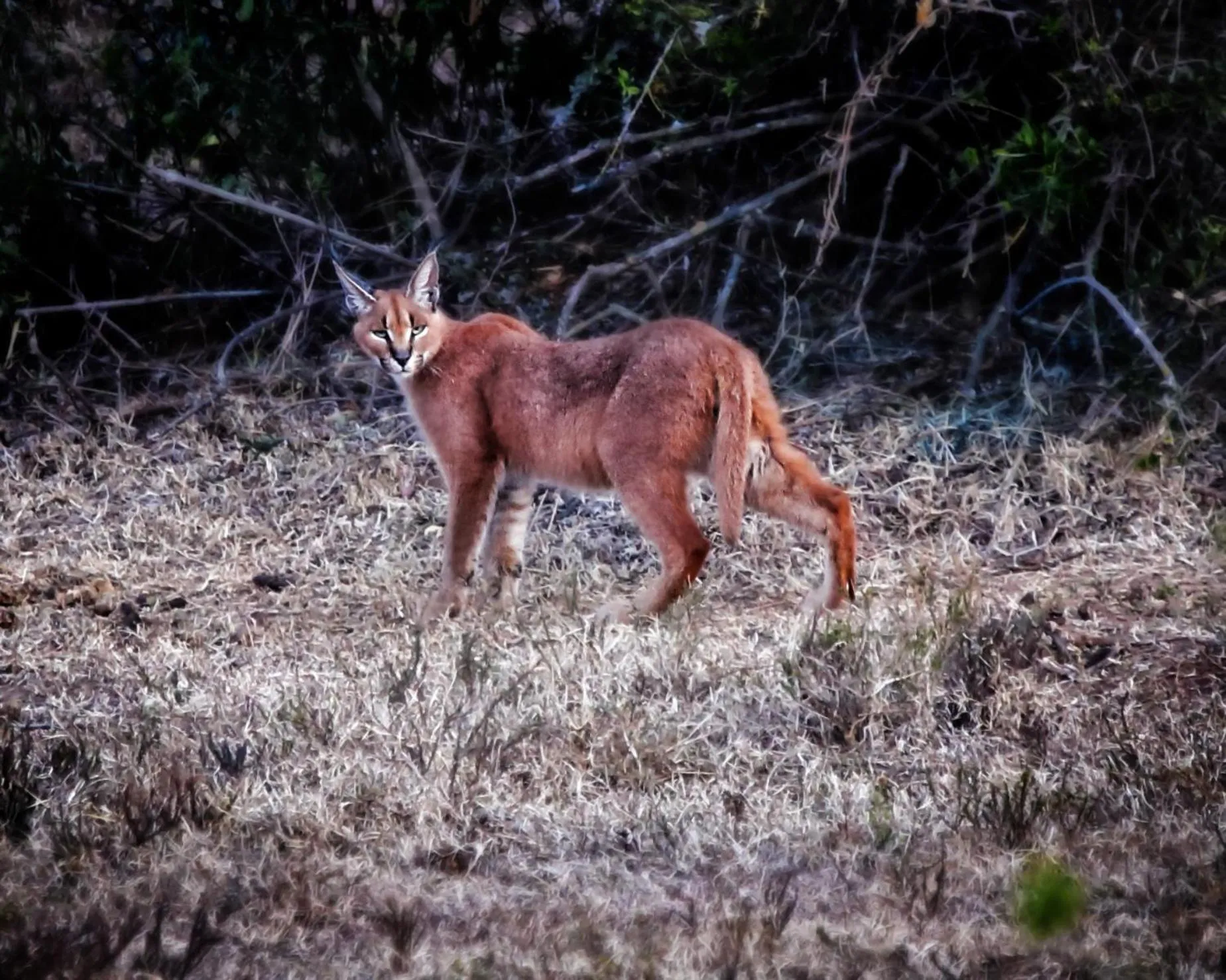 Natural landscape in RiverBend Lodge