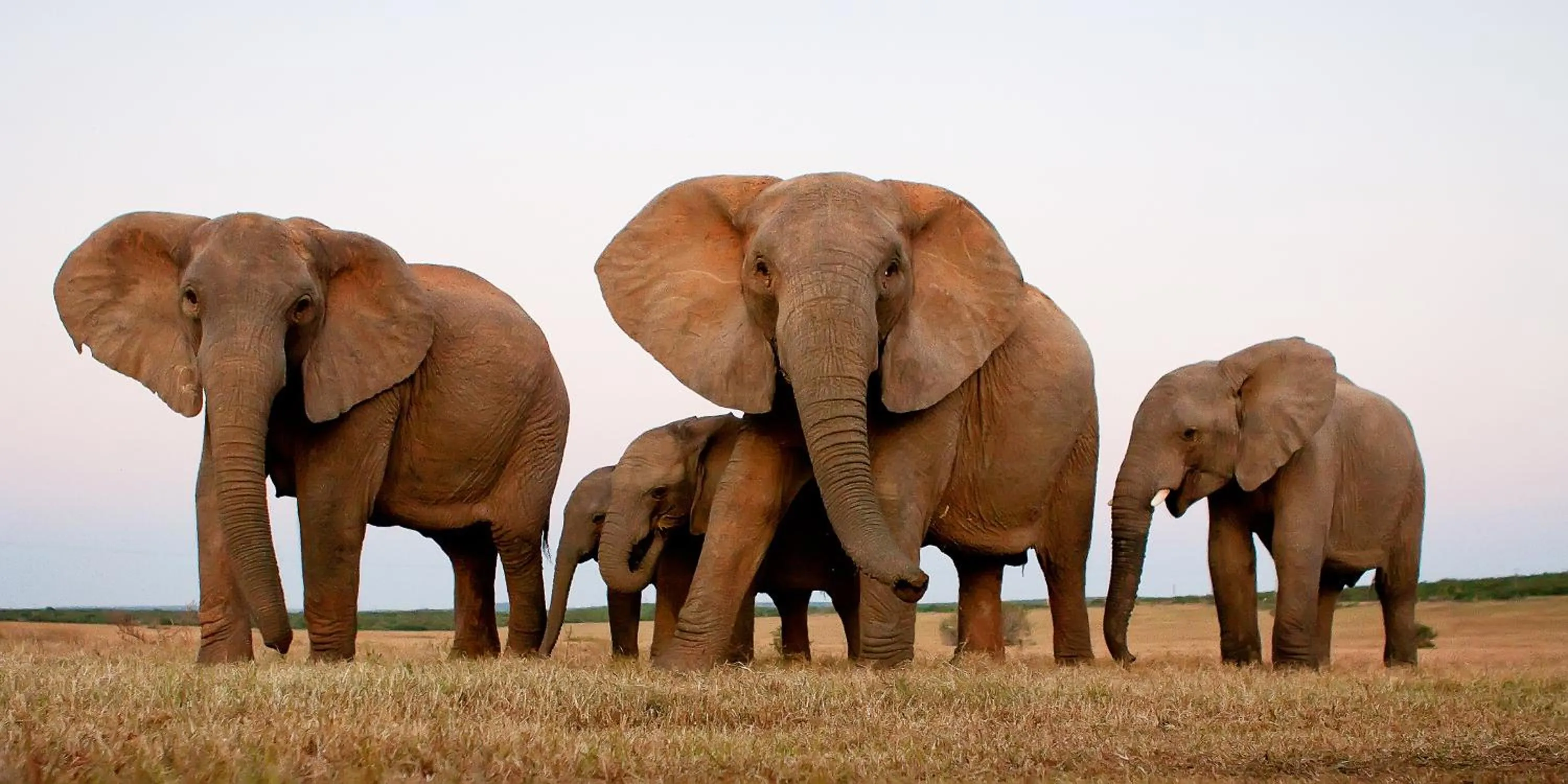 Day in RiverBend Lodge