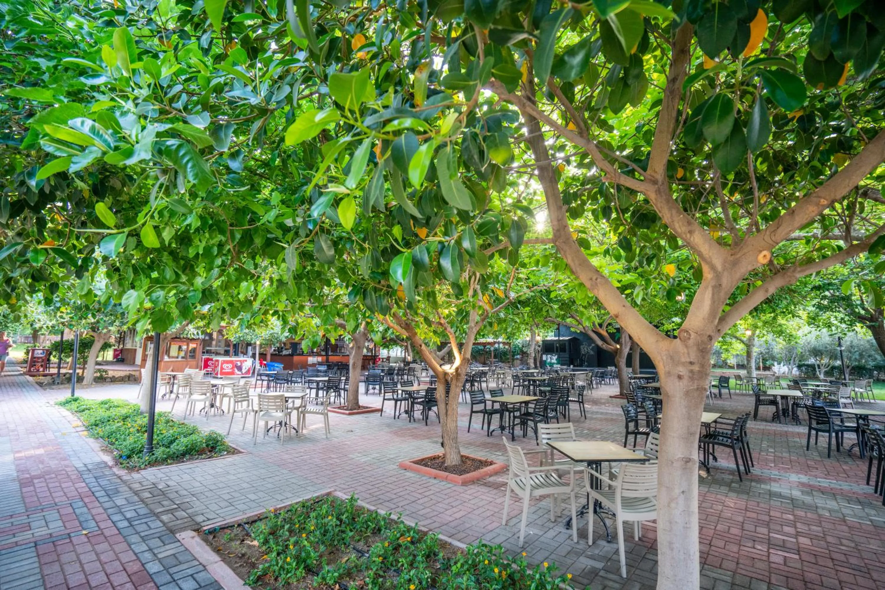 Restaurant/places to eat in Gardenia Beach Hotel