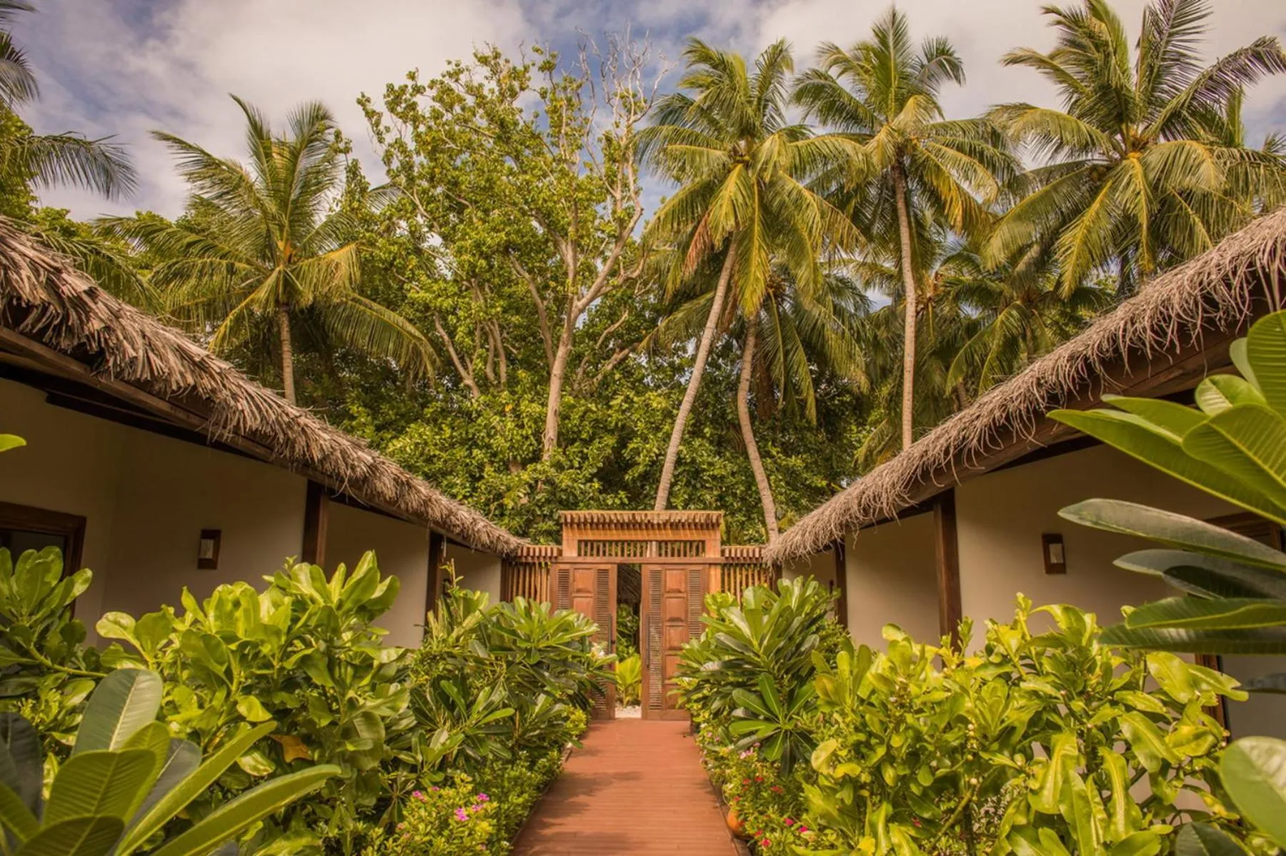 Garden view in Plumeria Maldives