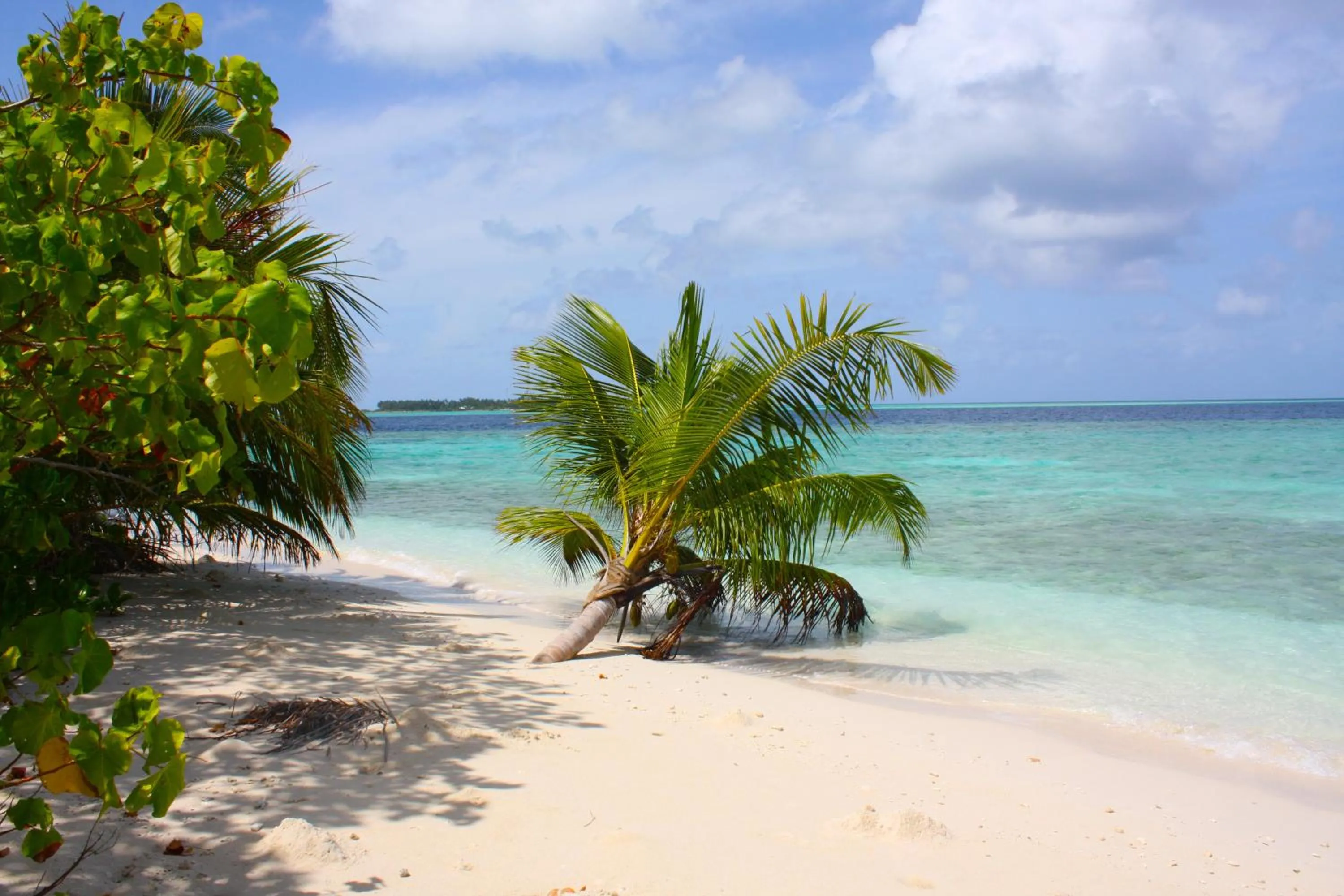 Beach in Plumeria Maldives