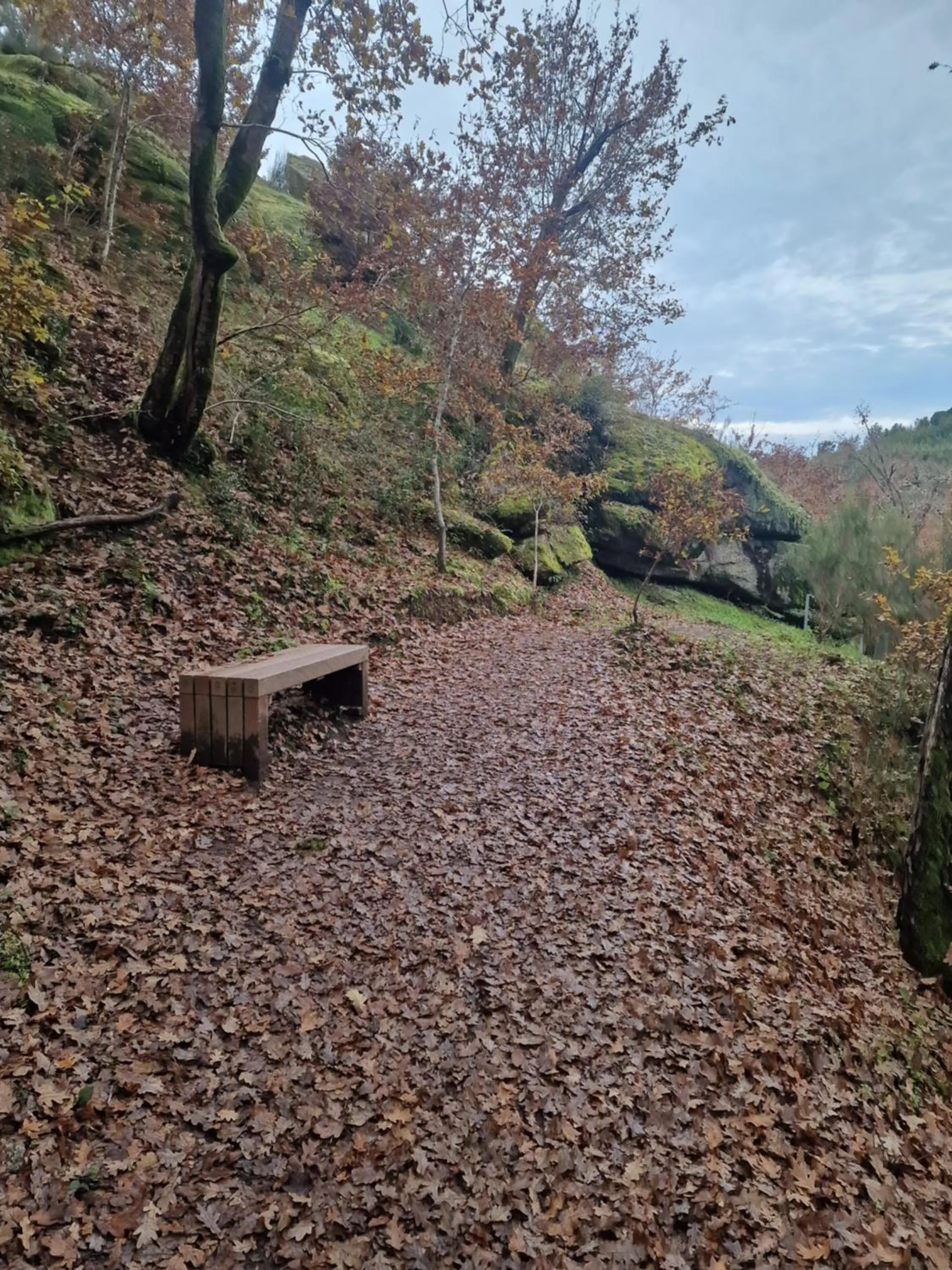 Spring in Palace Hotel de Midões