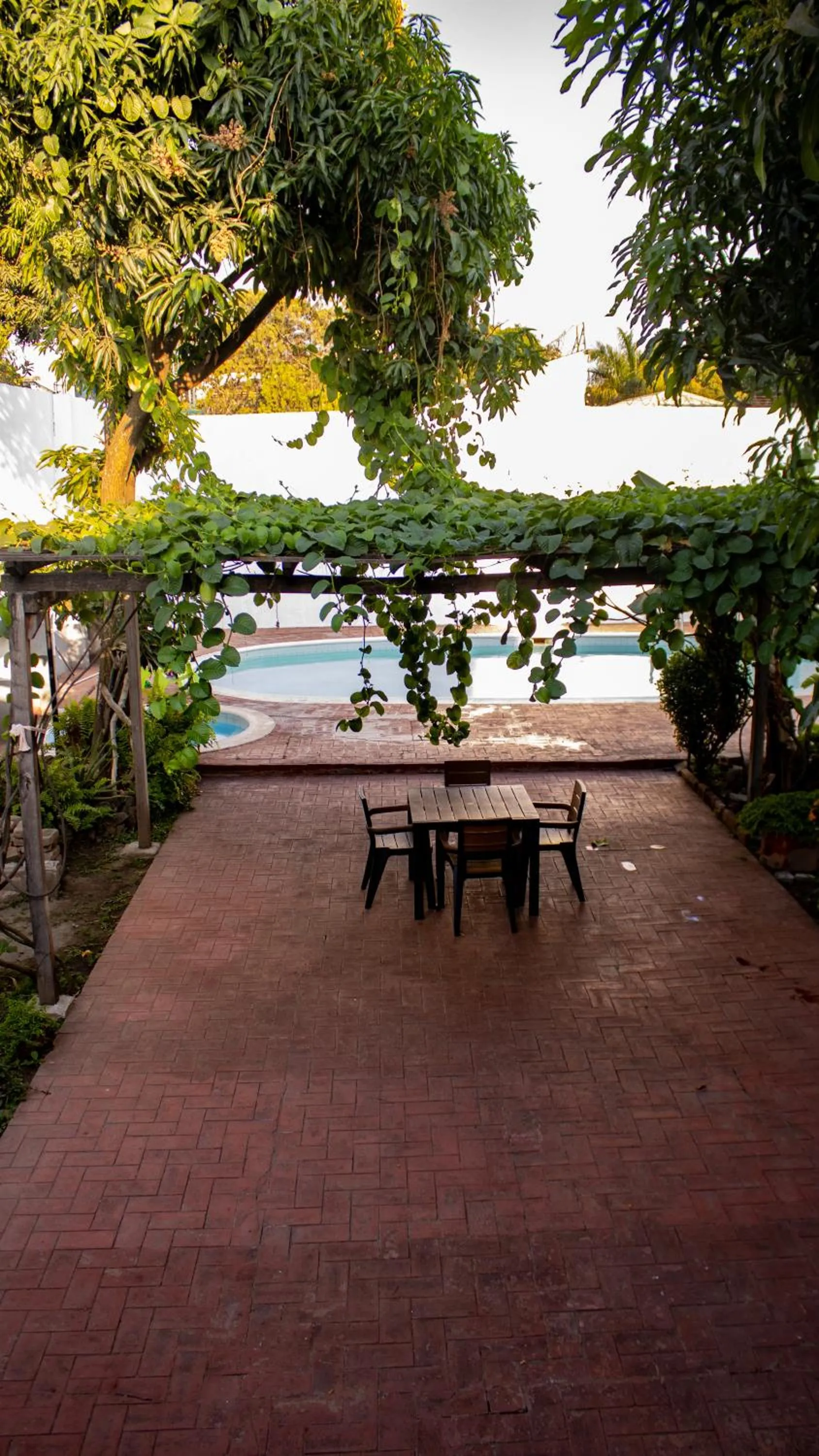 Garden in Volcano Hostal y Restaurante
